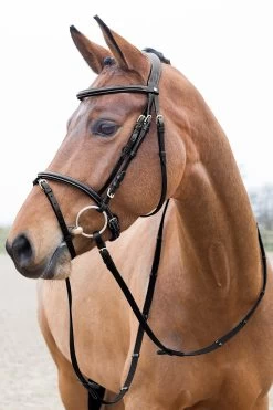 Horze Constance Padded Flash Bridle