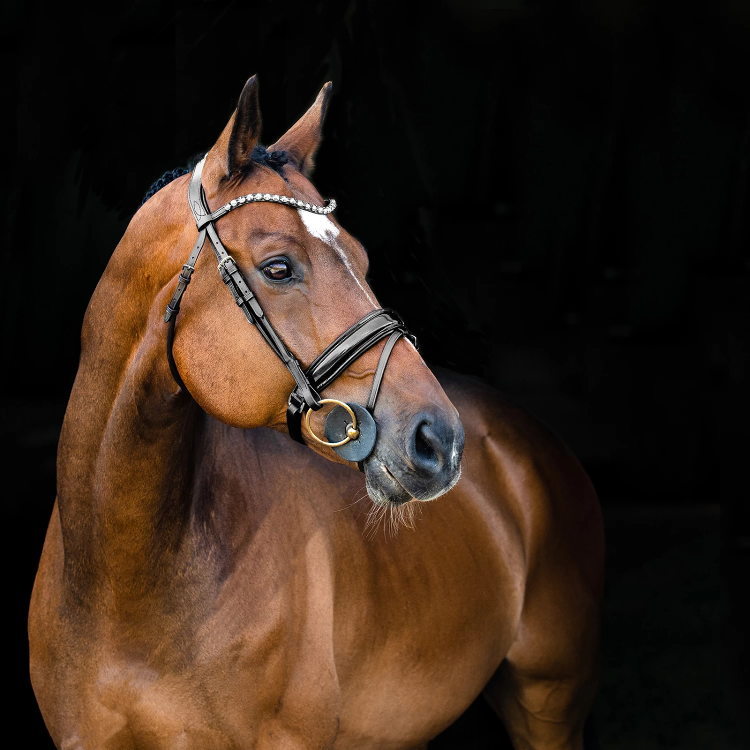 Horze Clermont Anatomic Bridle - Image 2