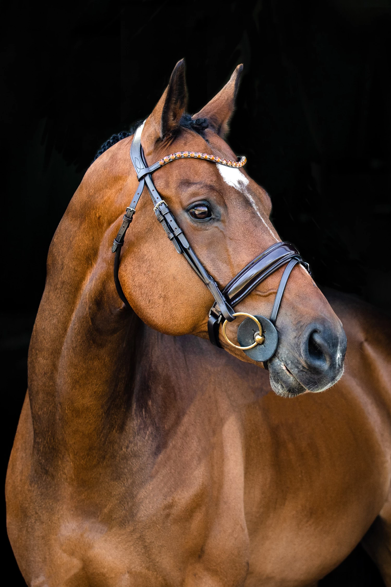 Horze Clermont Anatomic Bridle - Image 4
