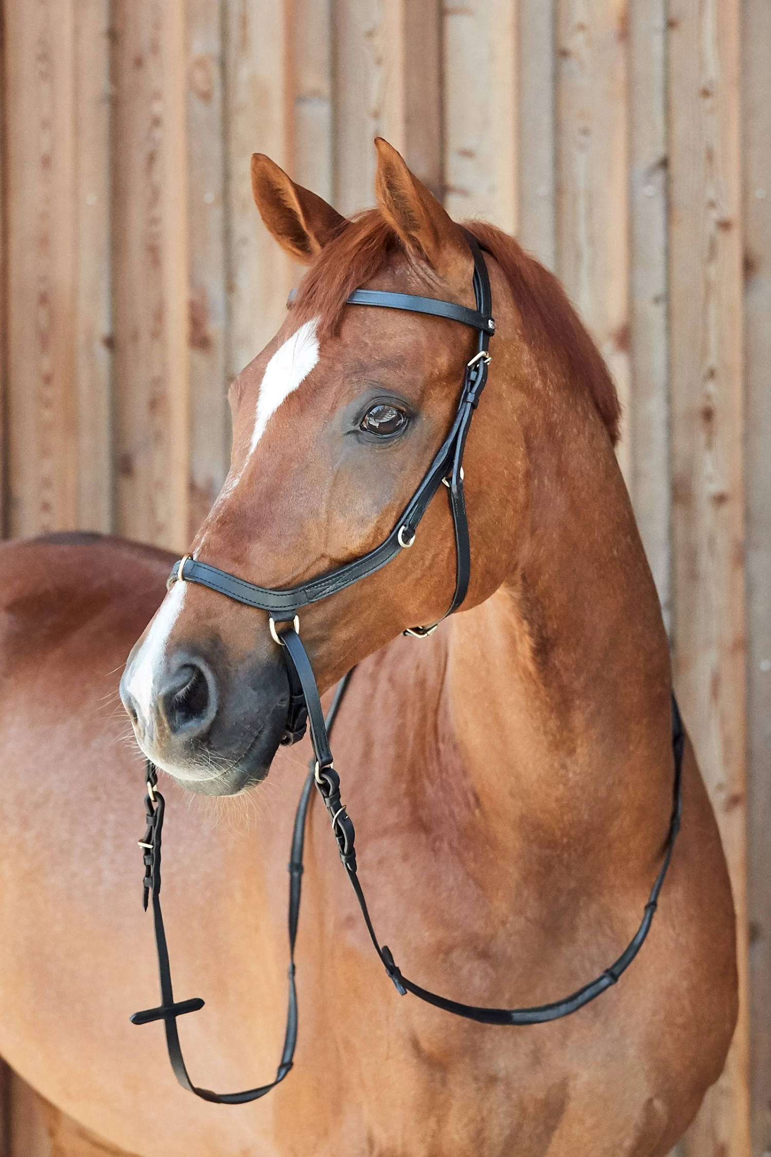 Horze Orlando Combined Bitless Bridle - Image 5
