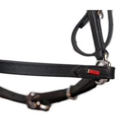 Karlslund BioThane Bridle