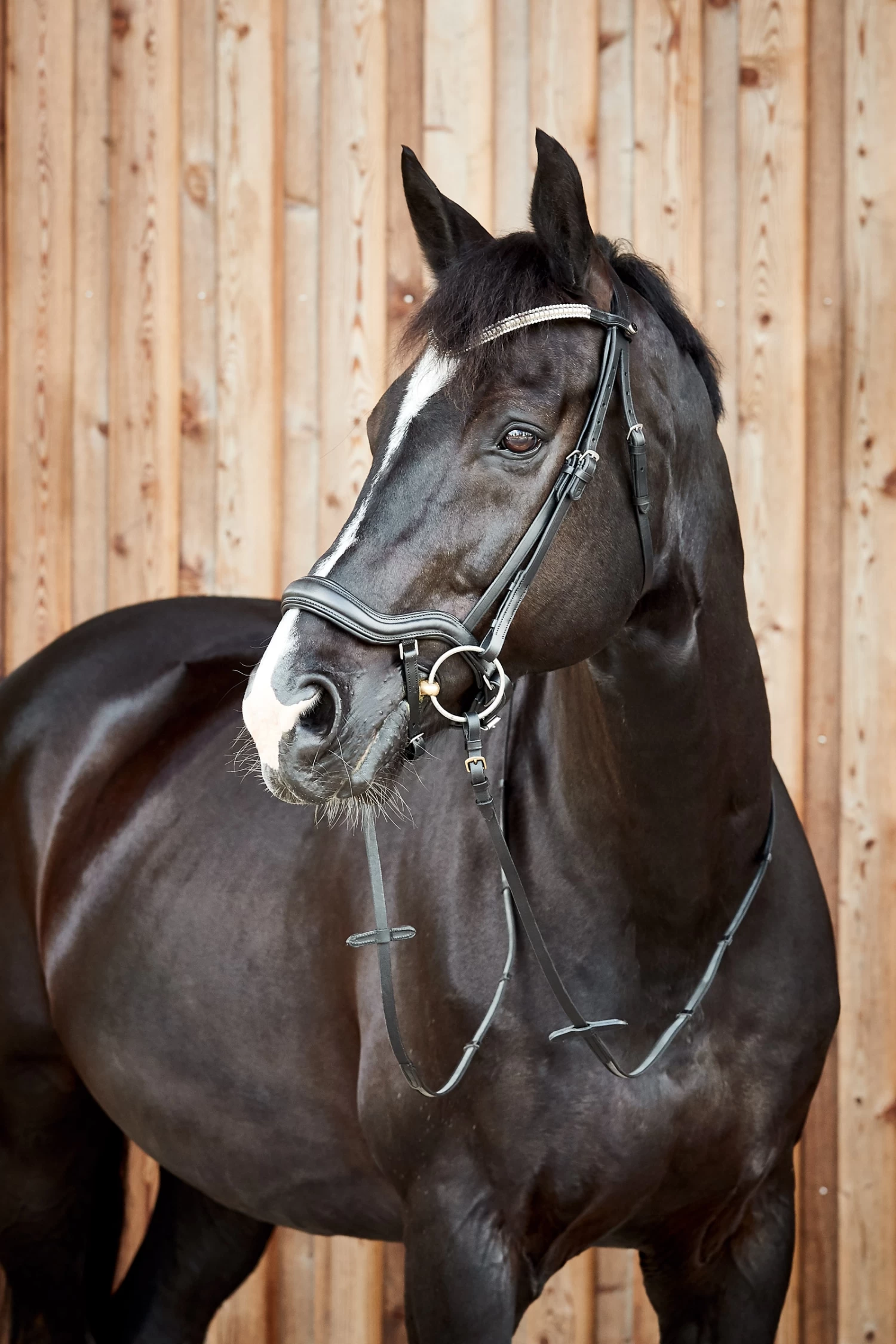 Horze Highbury Anatomic Bridle With Crystal Brow Band - Image 4