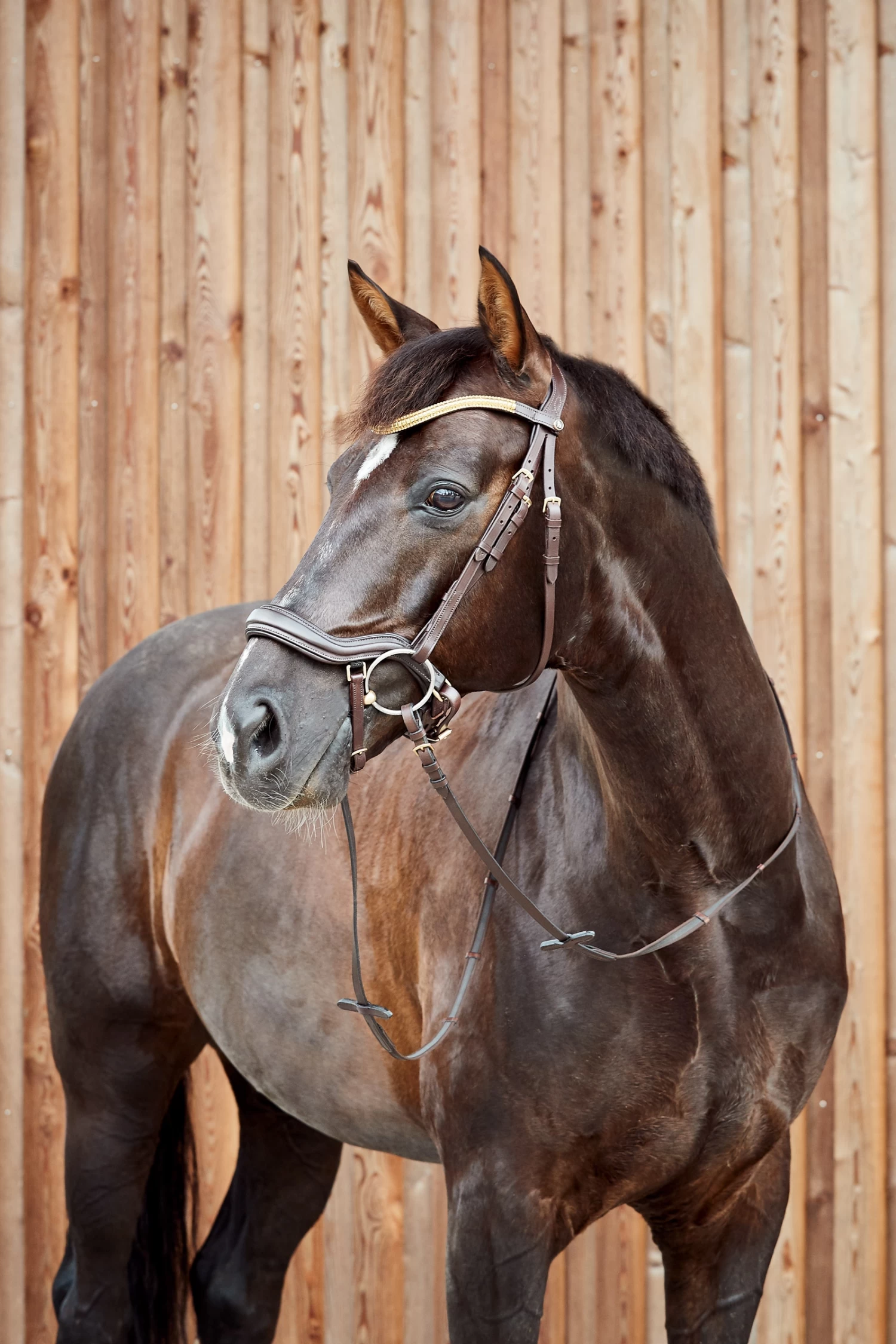 Horze Highbury Anatomic Bridle With Crystal Brow Band - Image 8