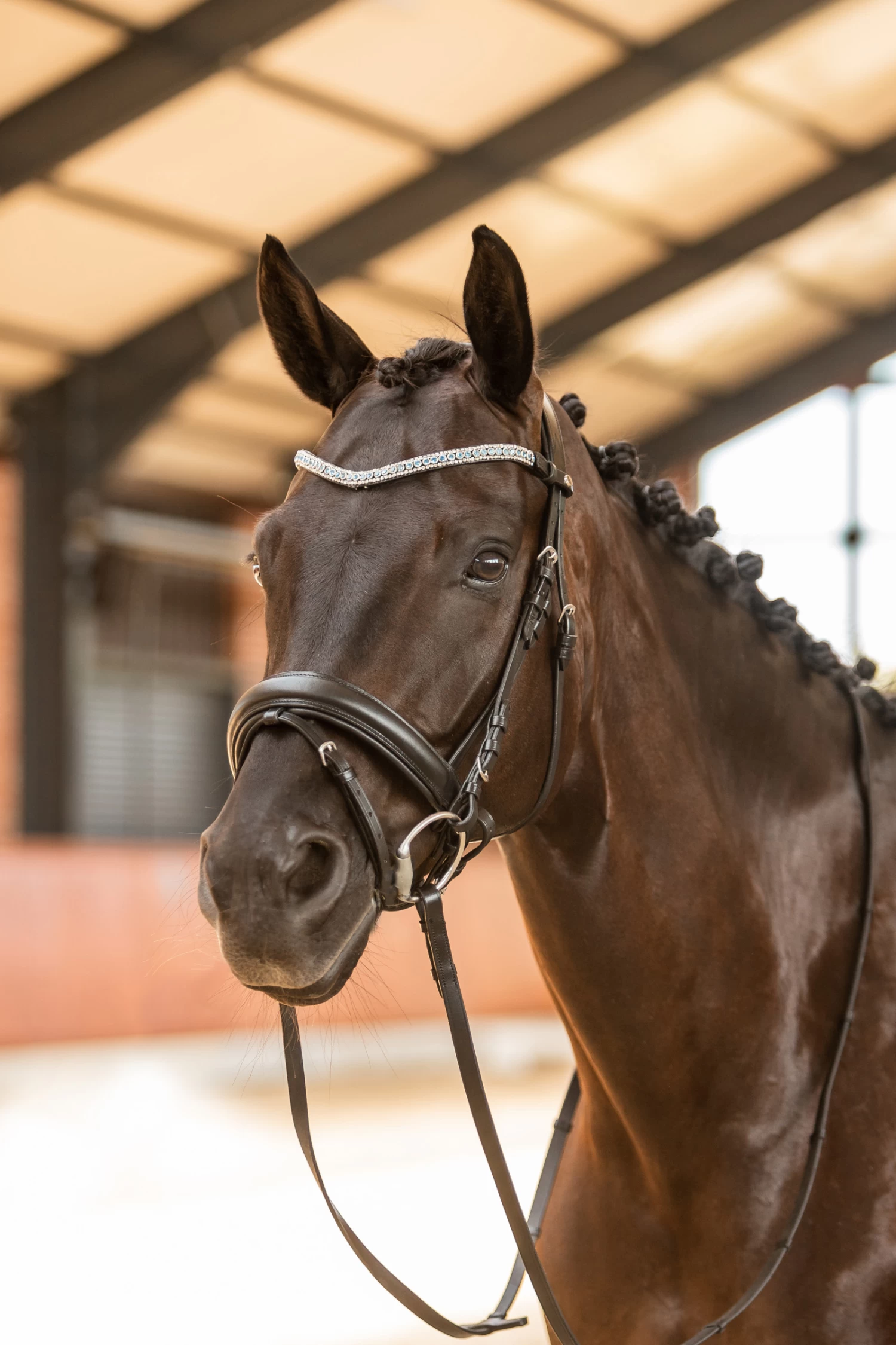 Horze Columbia Brow Band With Crystals - Image 4