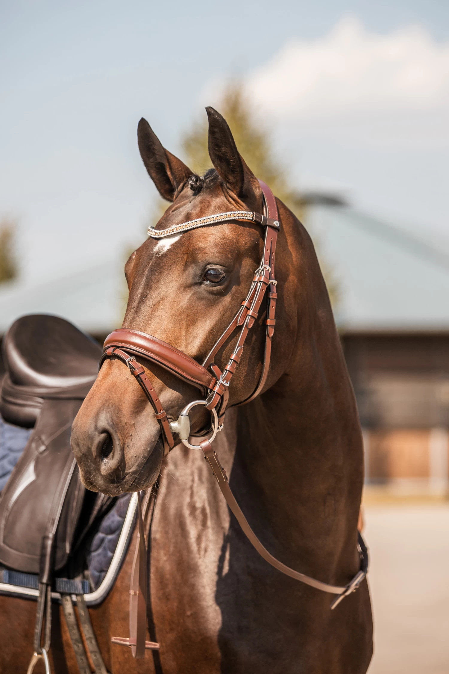 Horze Columbia Brow Band With Crystals - Image 8