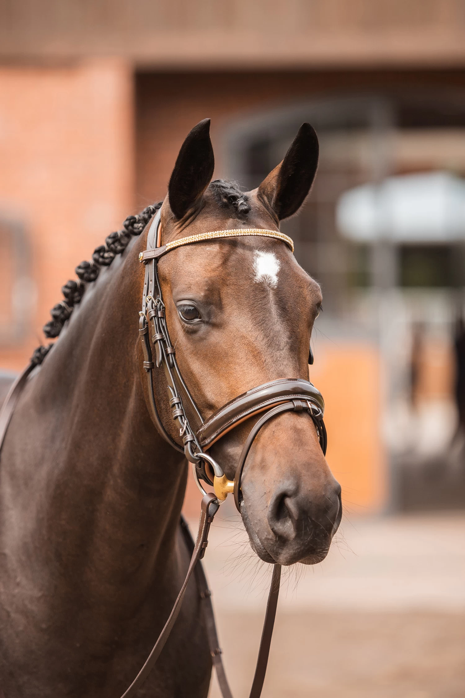 Horze Nancy Crystal And Wire Brow Band - Image 11