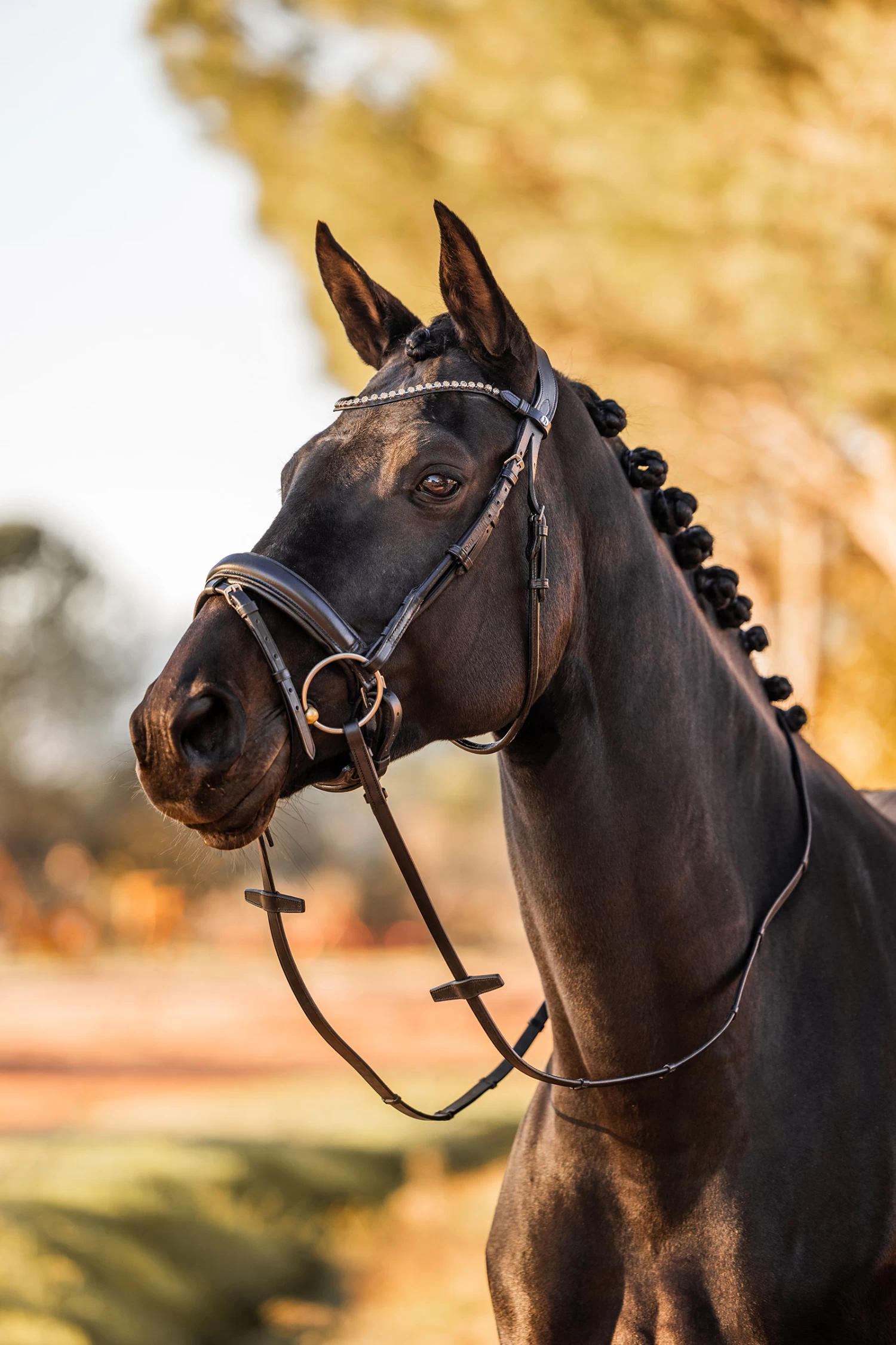 Horze Lockhart Anatomic Bridle - Image 10
