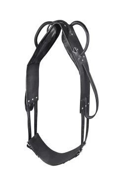 Waldhausen Vaulting & Lunging Surcingle