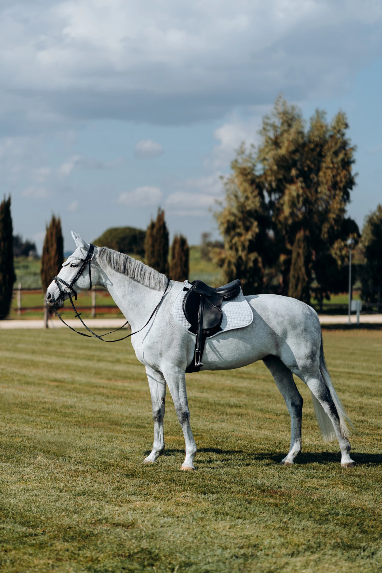 Horze Cooling All Purpose Saddle Pad - Image 10