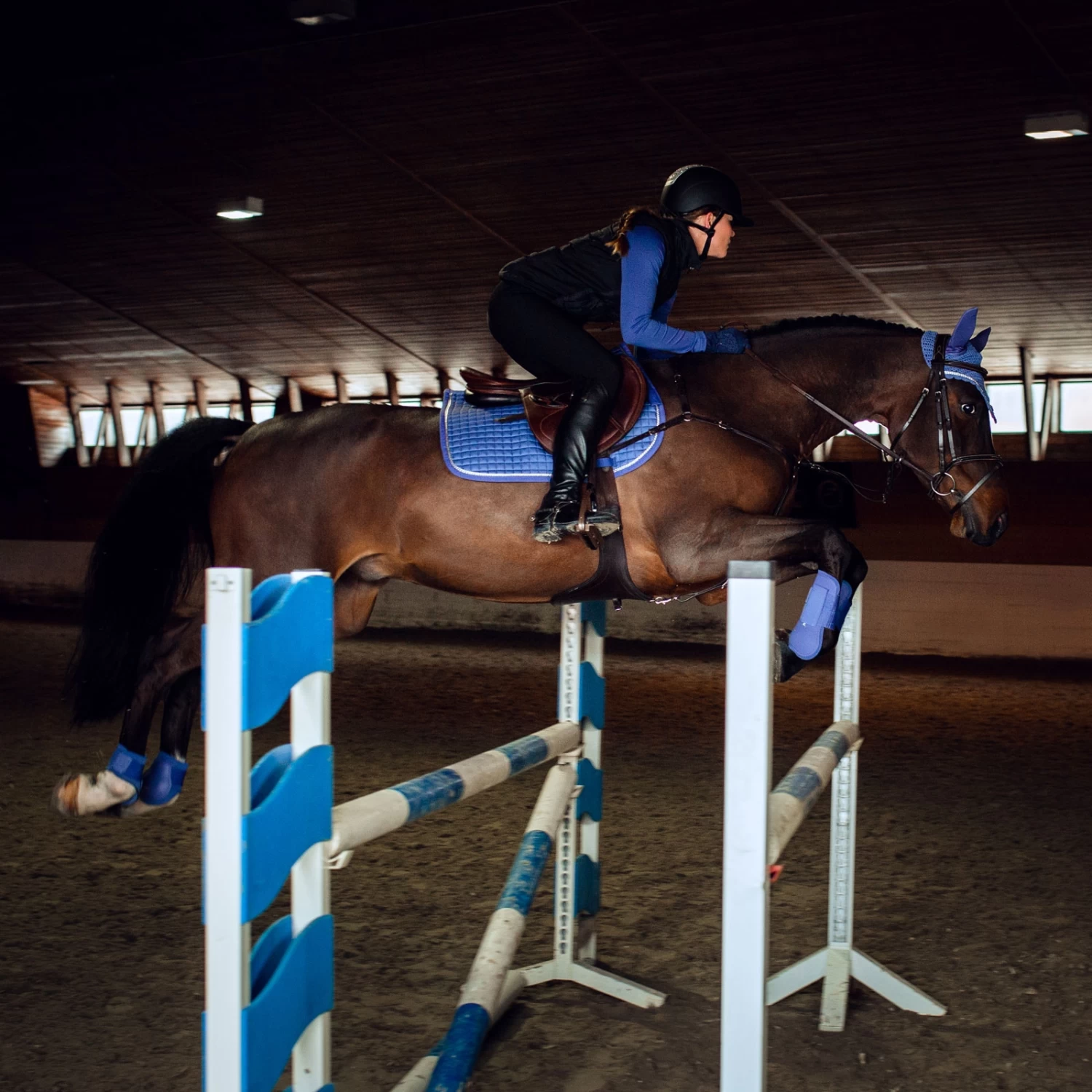 Horze Glarus Dressage Saddle Pad With Metallic Braiding - Image 10