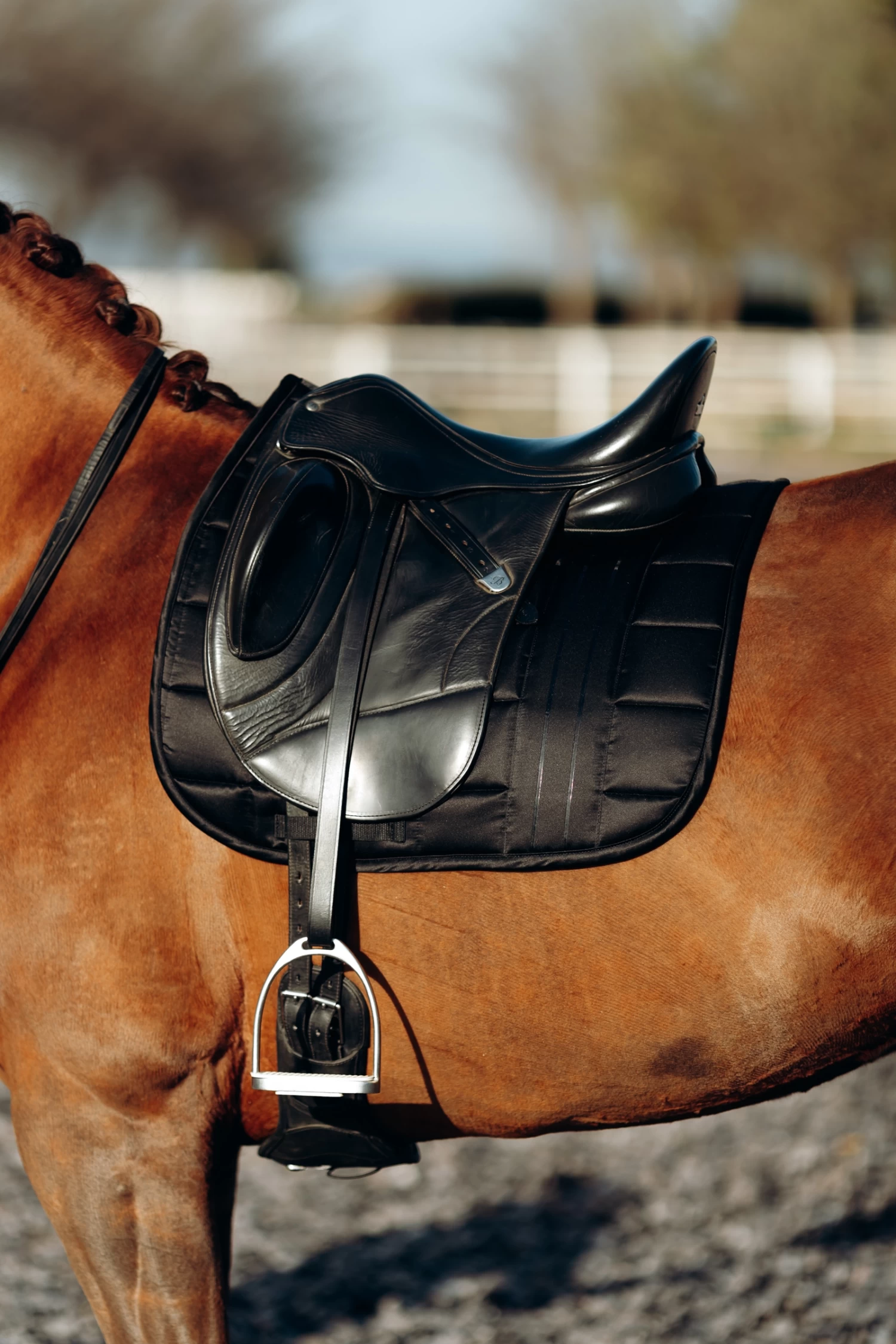 B Vertigo Drew Dressage Saddle Pad - Image 3