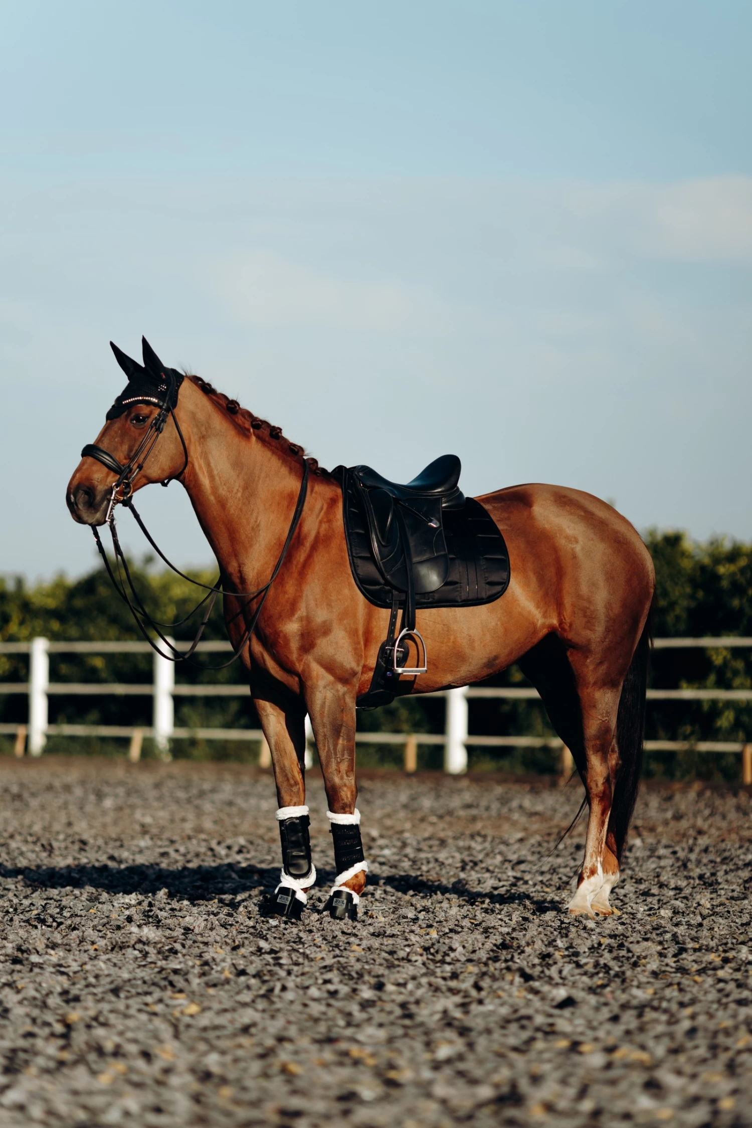 B Vertigo Drew Dressage Saddle Pad - Image 4