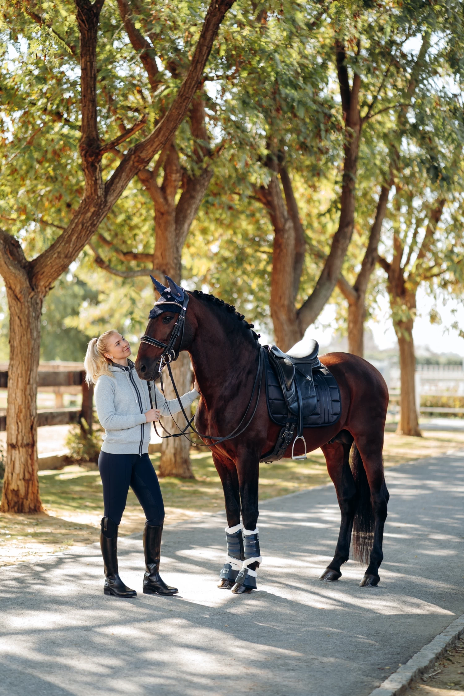 B Vertigo Drew Dressage Saddle Pad - Image 12