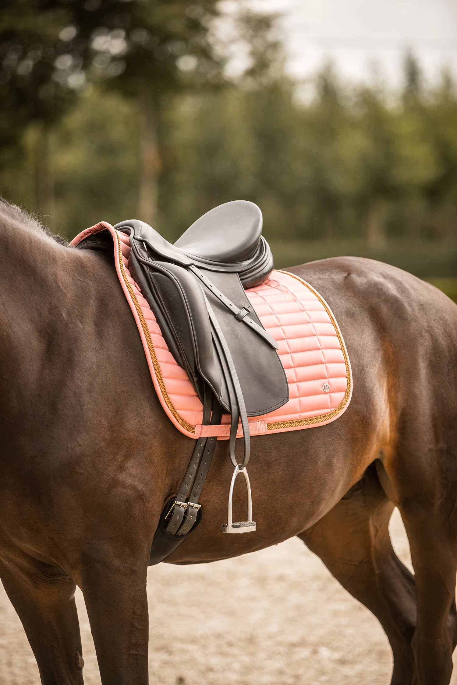 B Vertigo Quinn Dressage Saddle Pad - Image 10