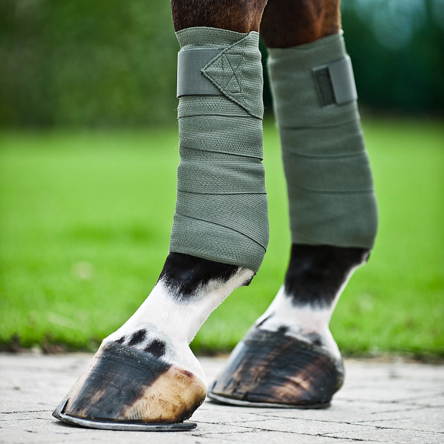 Horze Nest Combi Bandages - Image 11