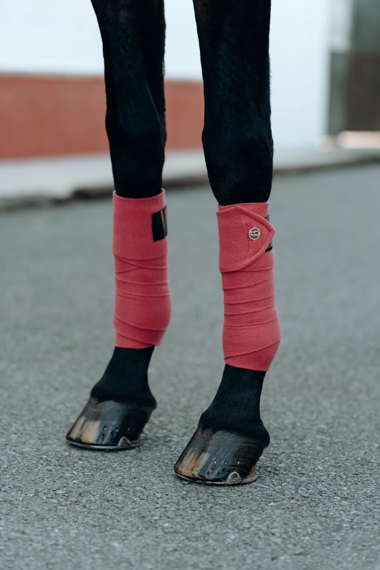 B Vertigo Laurel Fleece Bandages - Image 2