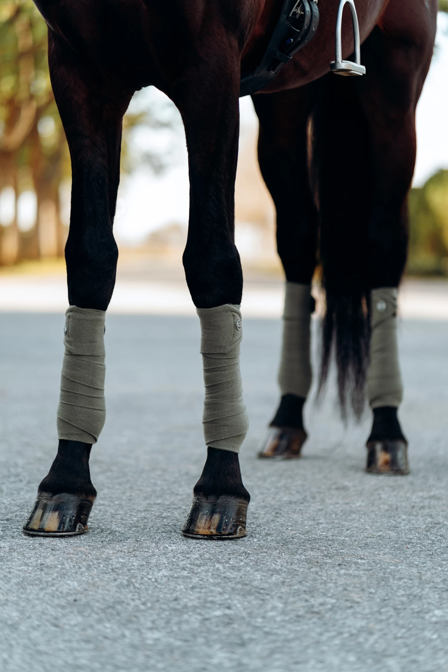 B Vertigo Laurel Fleece Bandages - Image 10