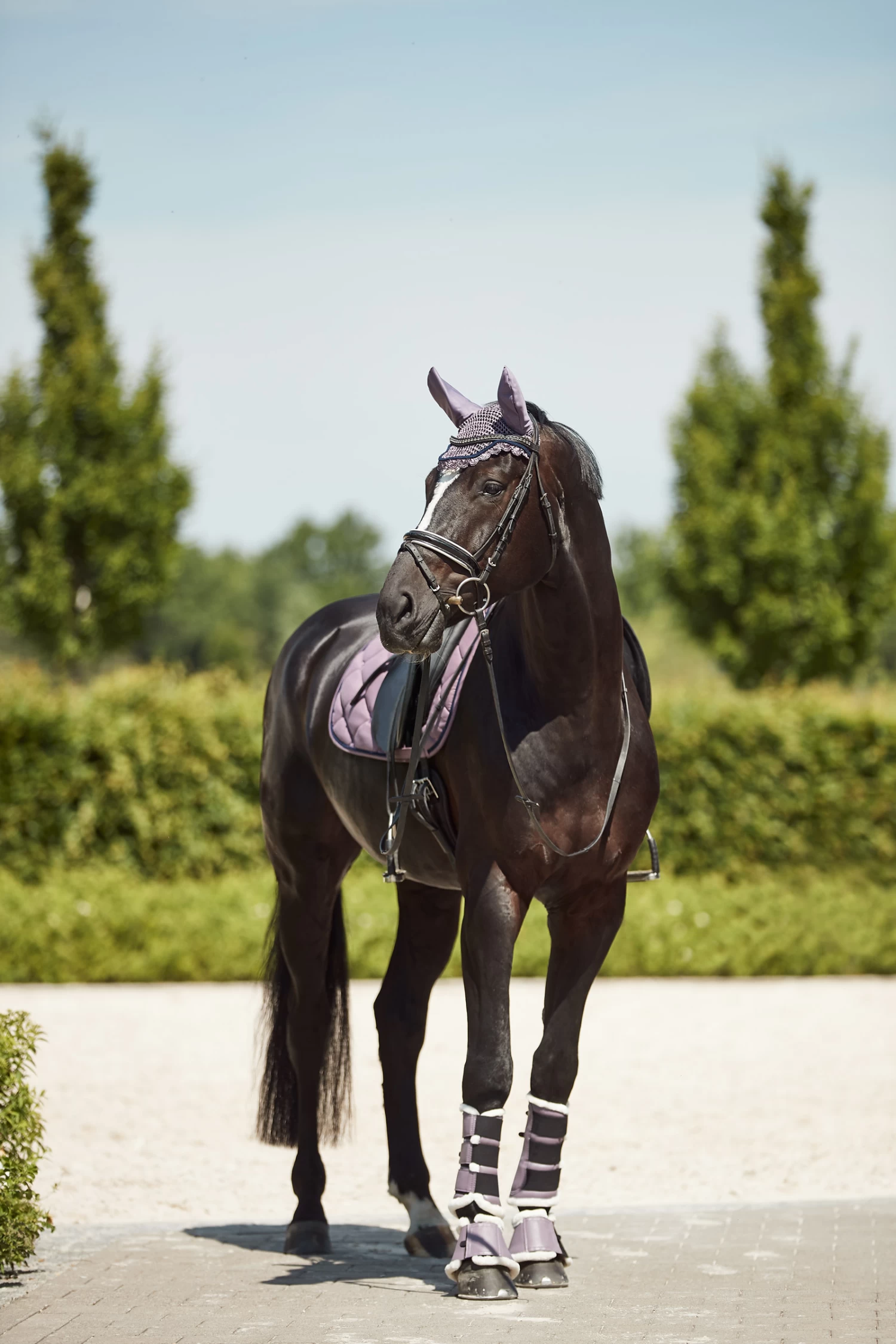 Horze Ghent Brushing Boots With Faux Fur - Image 14