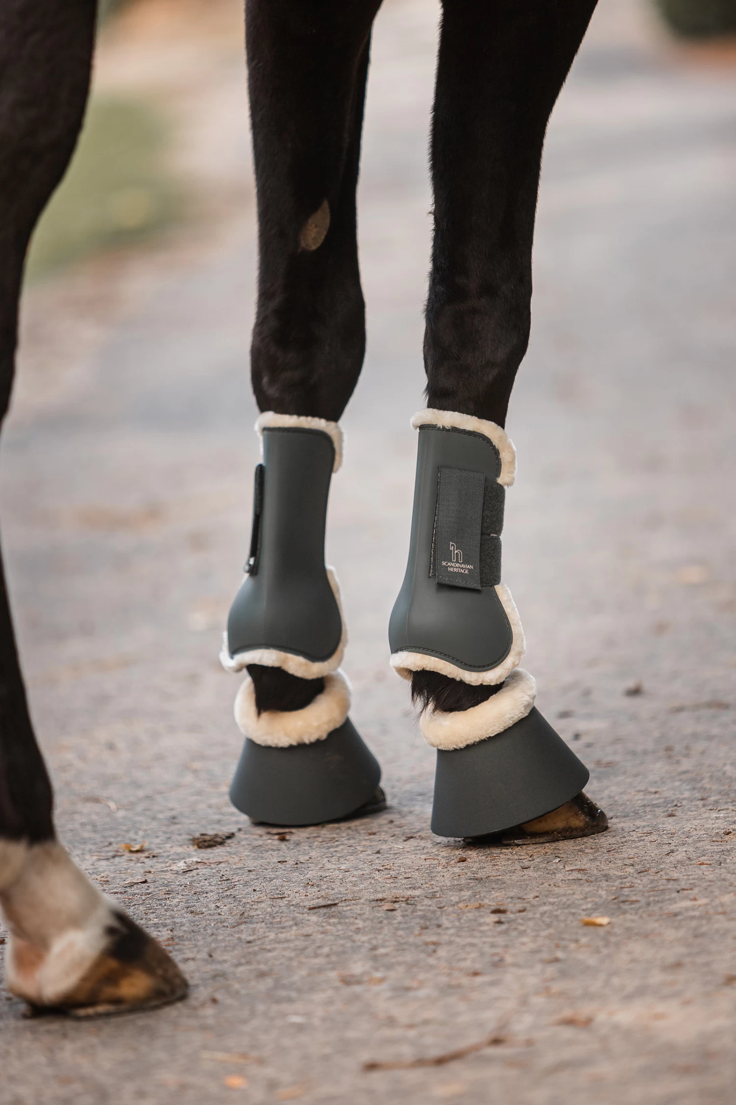 Horze Leighton Teens Collection Tendon Boots - Image 14