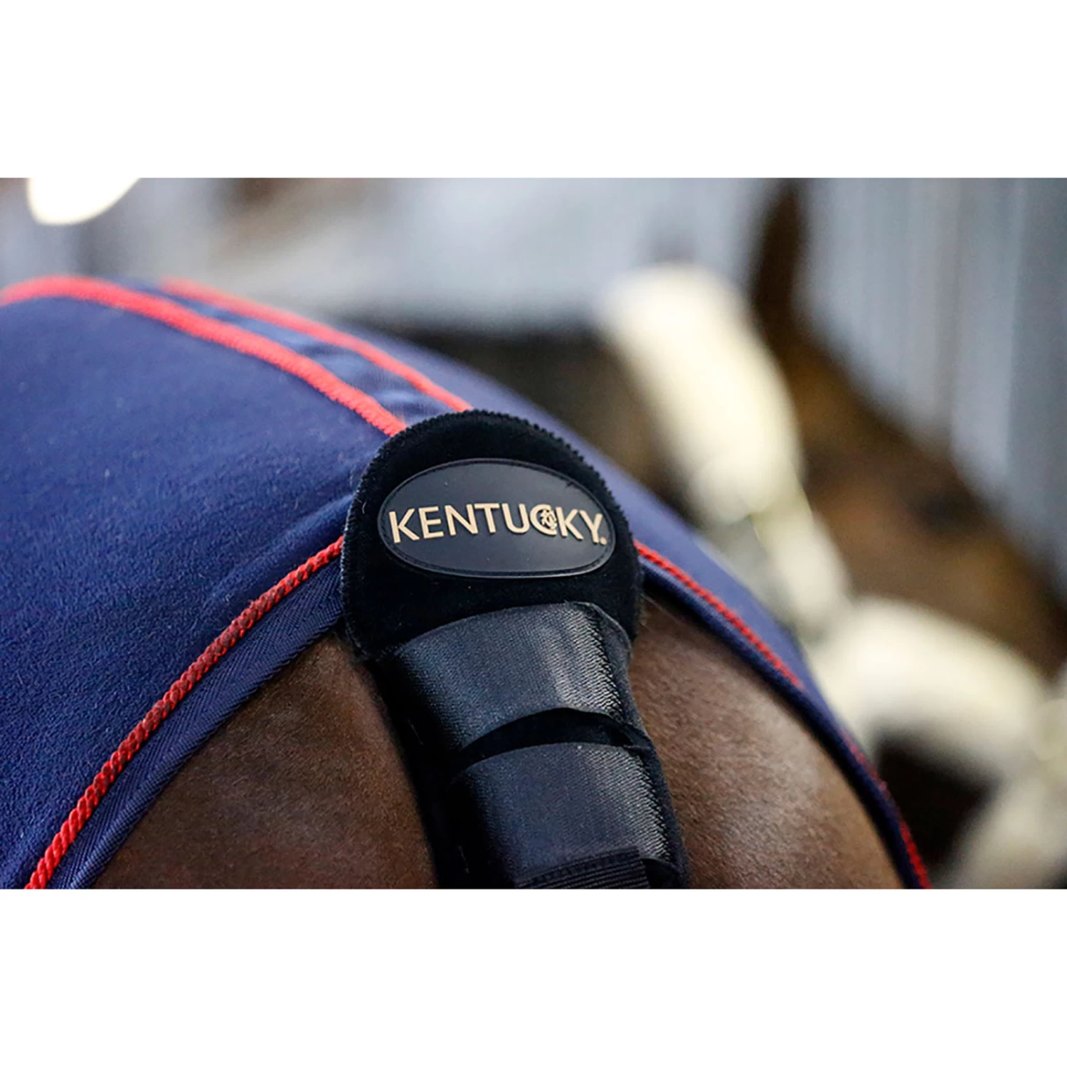 Kentucky Horsewear Tail Guard / Tail Bag - Image 4