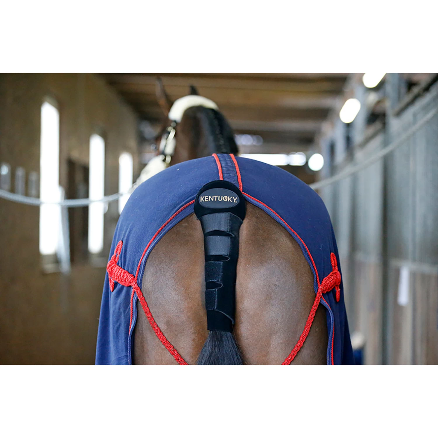 Kentucky Horsewear Tail Guard / Tail Bag - Image 5