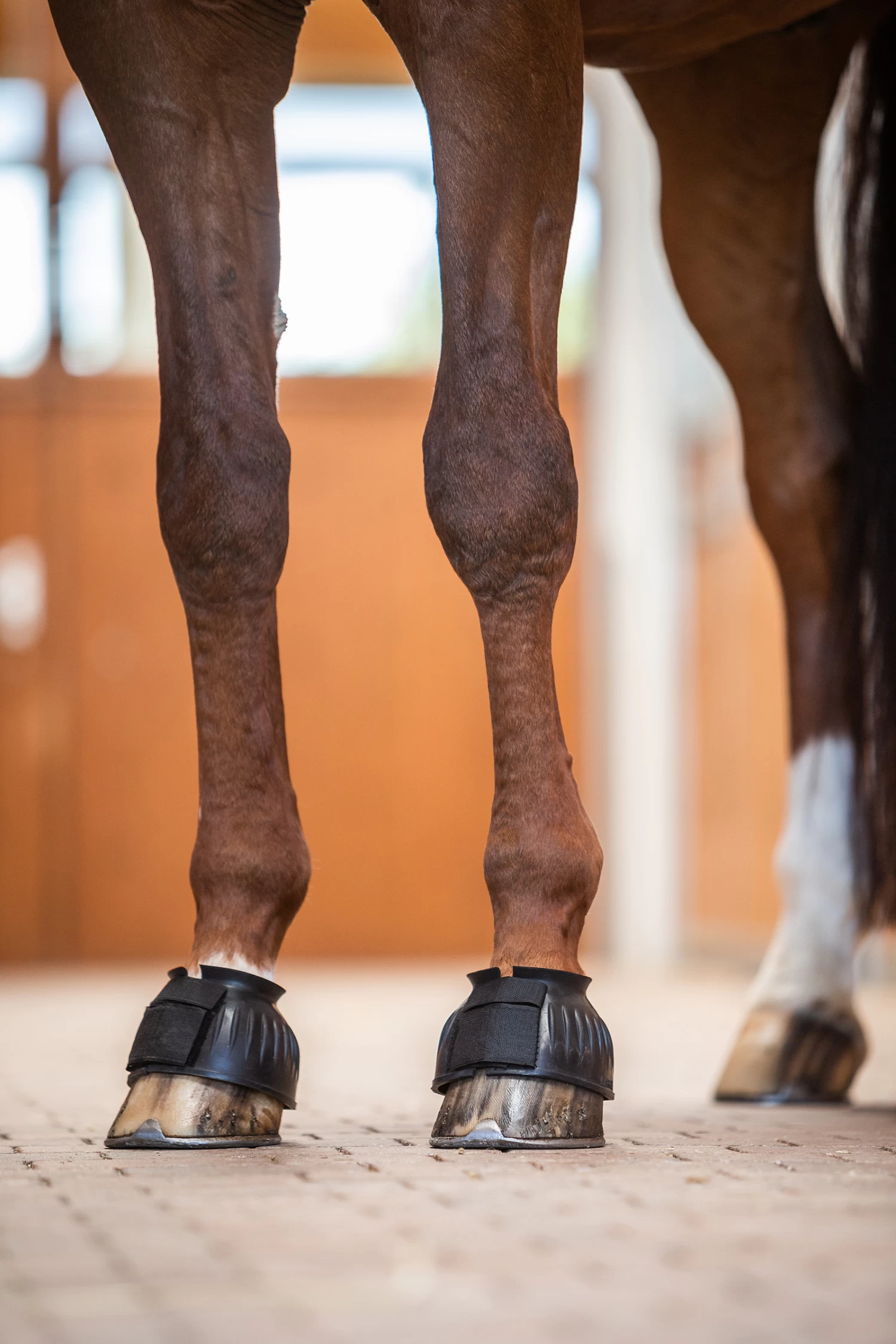 Horze Anti-Twist Lock-On Bell Boots - Image 4