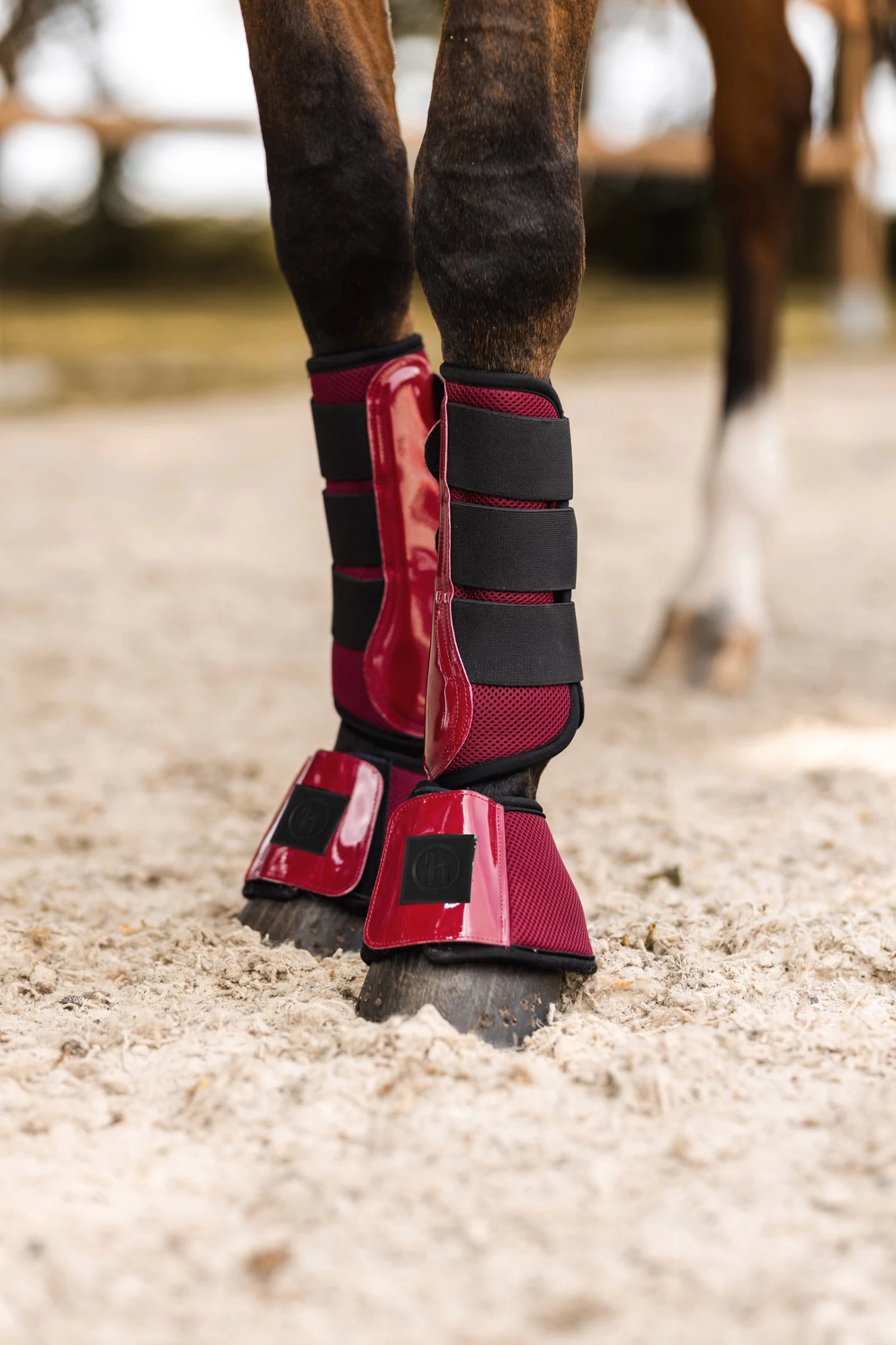 Horze Smoky Twilight Bell Boots - Image 6