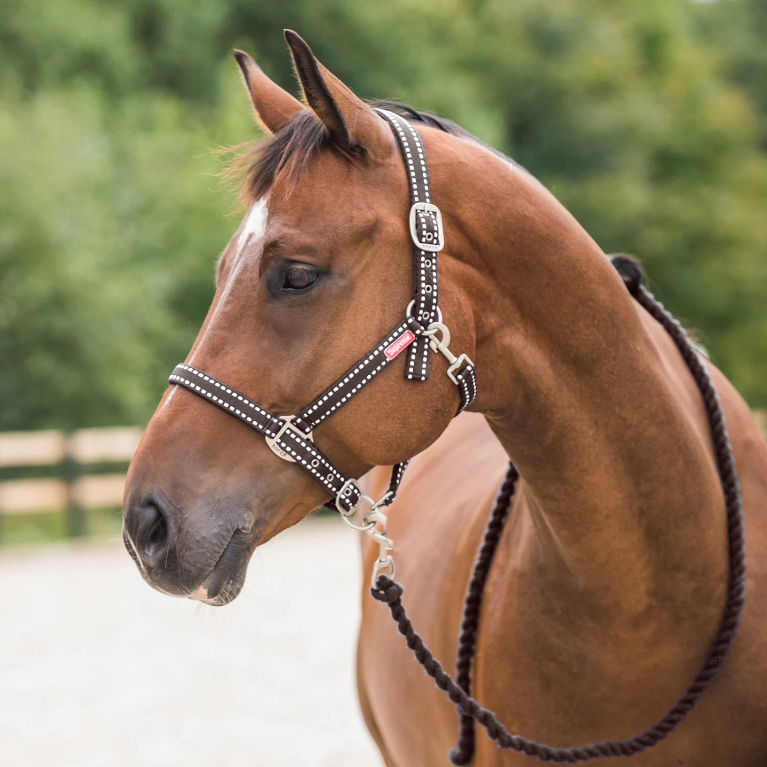 Horze Cooper Halter And Lead Set - Image 2