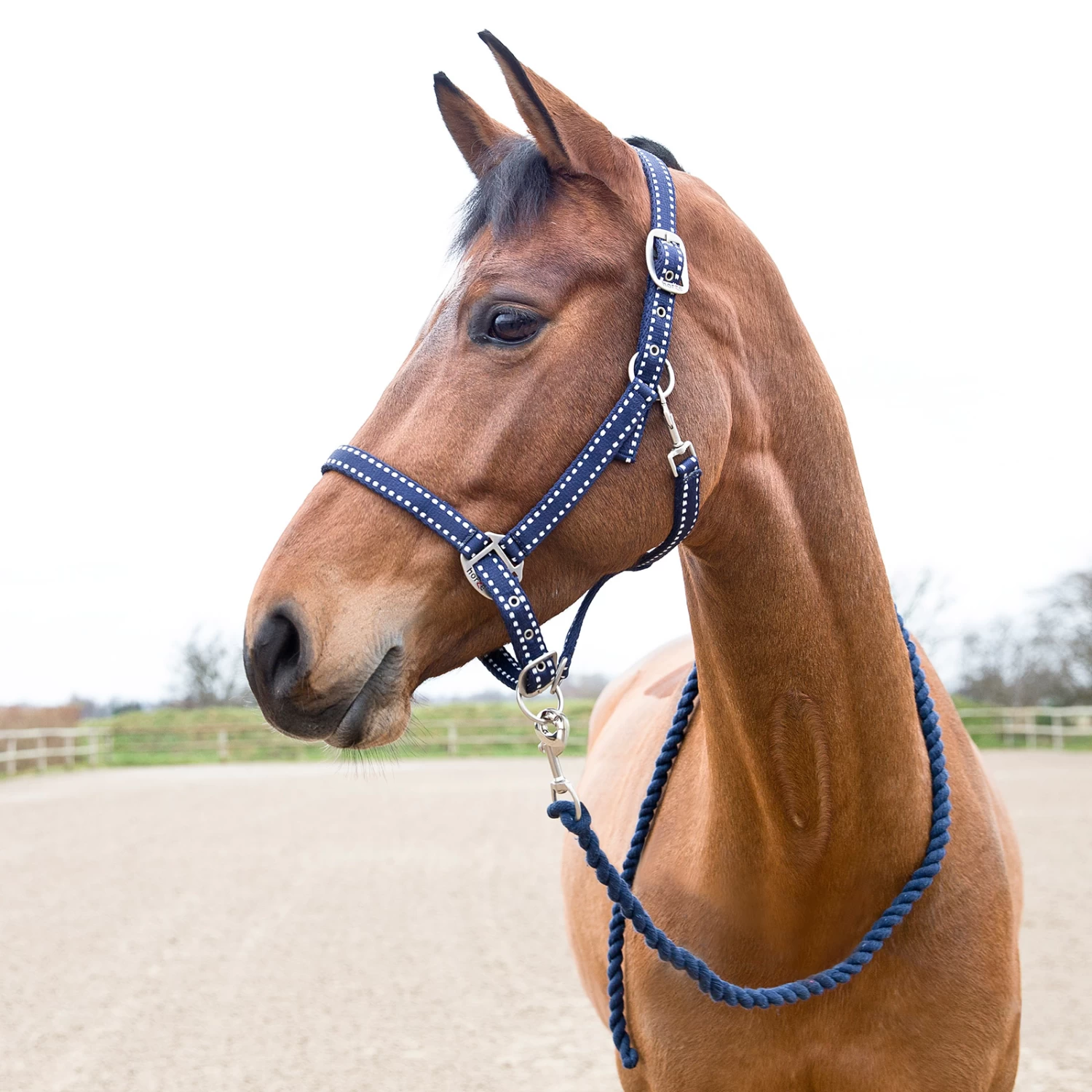Horze Cooper Halter And Lead Set - Image 3