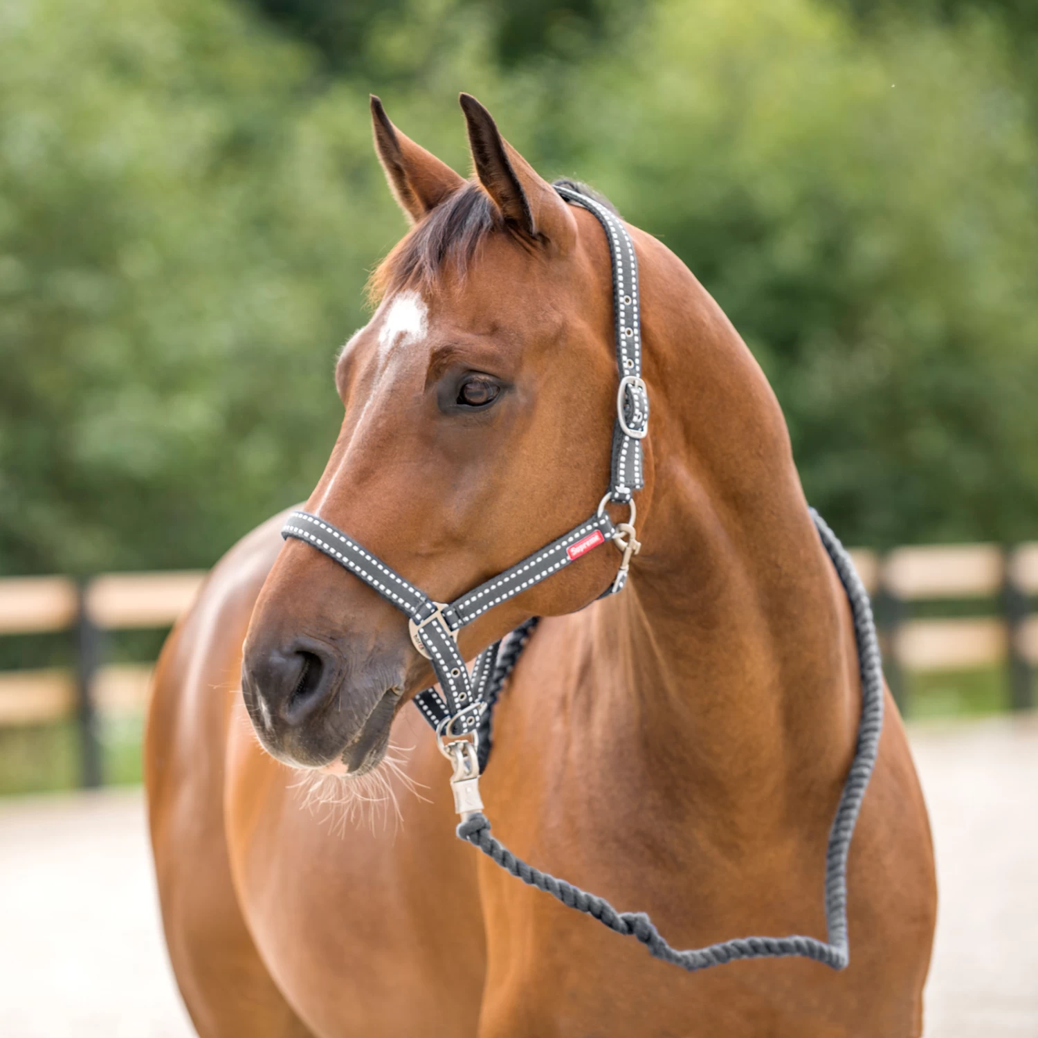 Horze Cooper Halter And Lead Set - Image 4