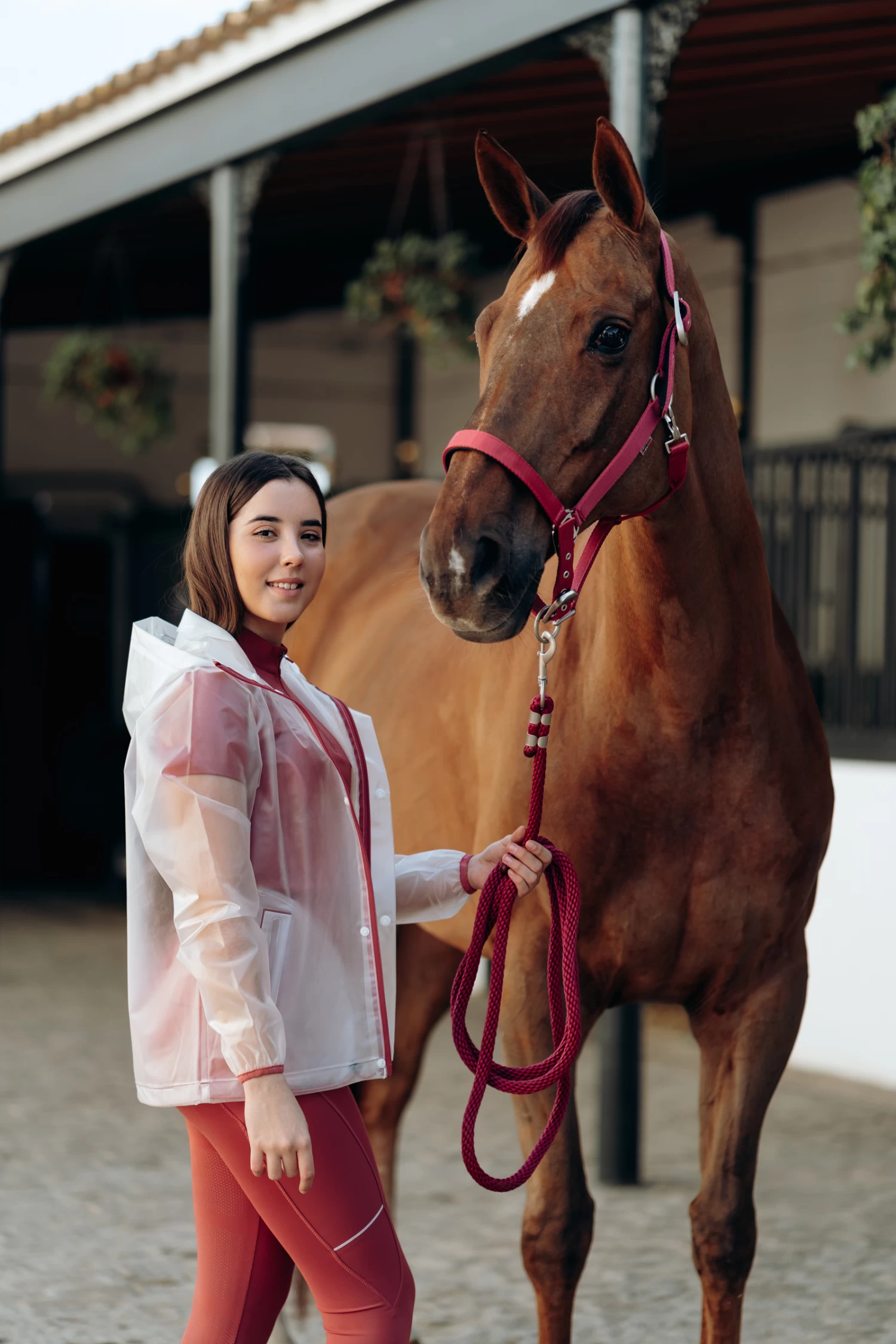 B Vertigo Hardwick Halter - Image 5