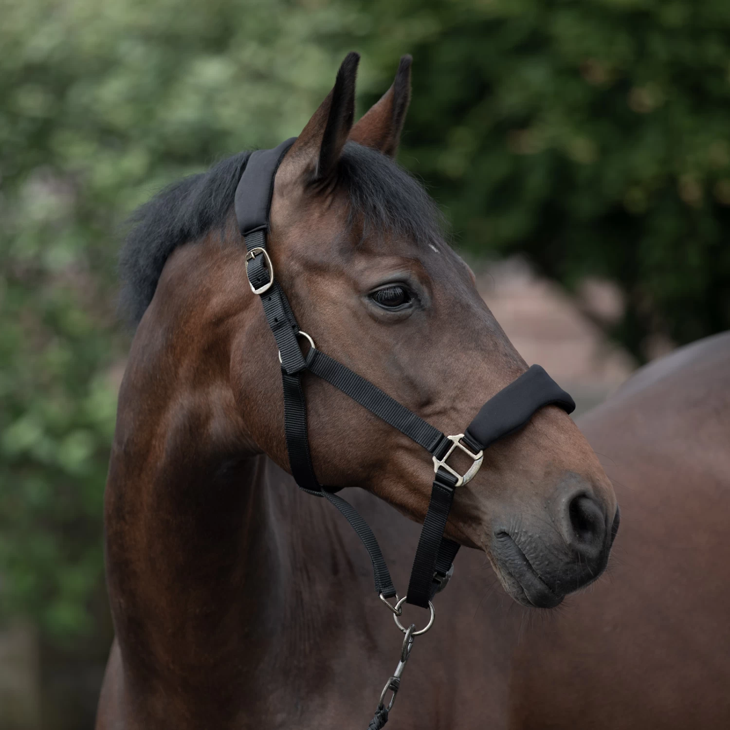 Horze Graz Halter - Image 4