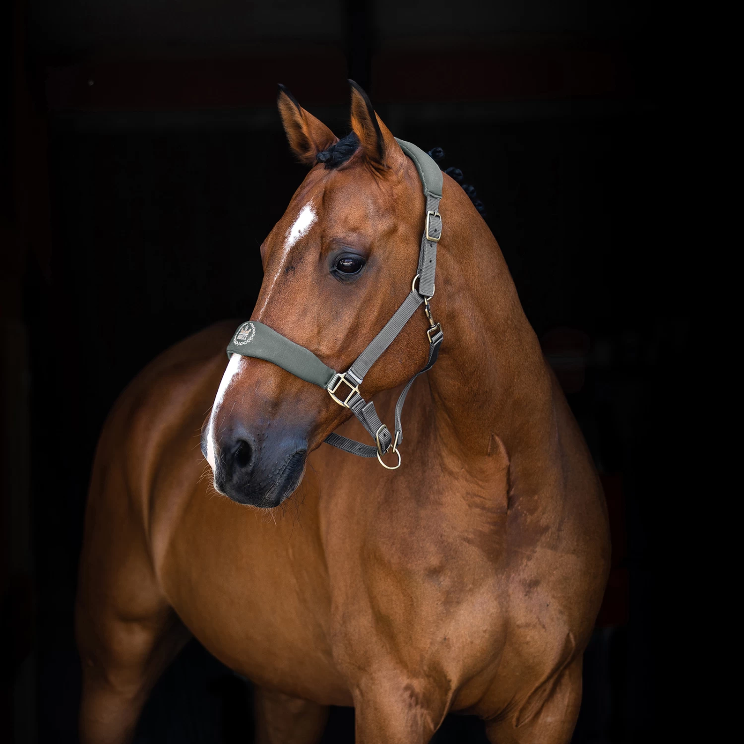 Horze Graz Halter - Image 6