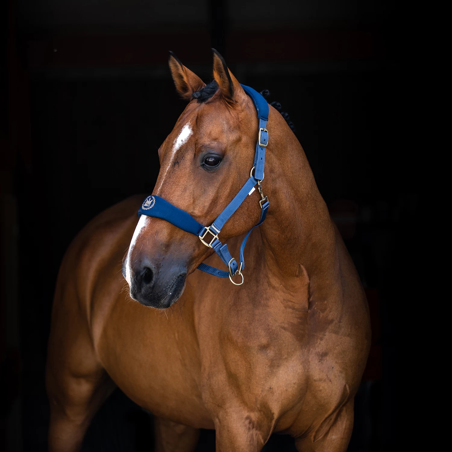 Horze Graz Halter - Image 8