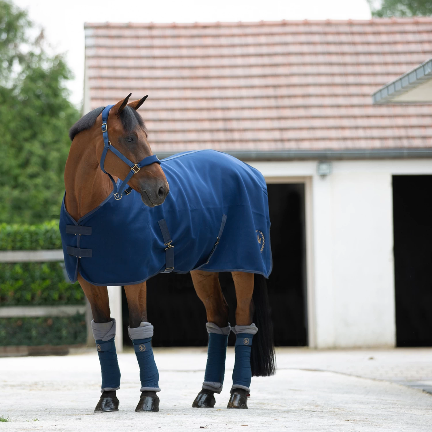 Horze Graz Halter - Image 9