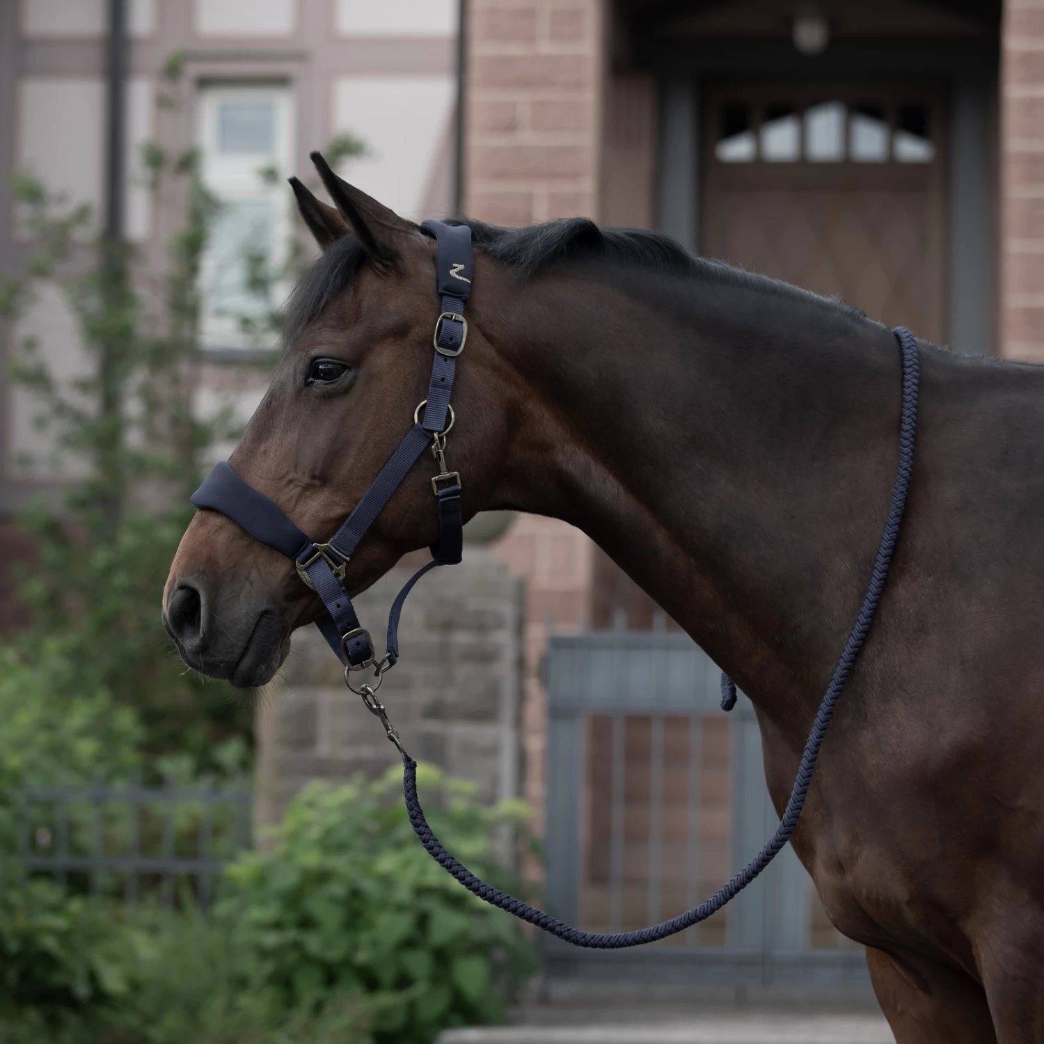 Horze Graz Halter - Image 13