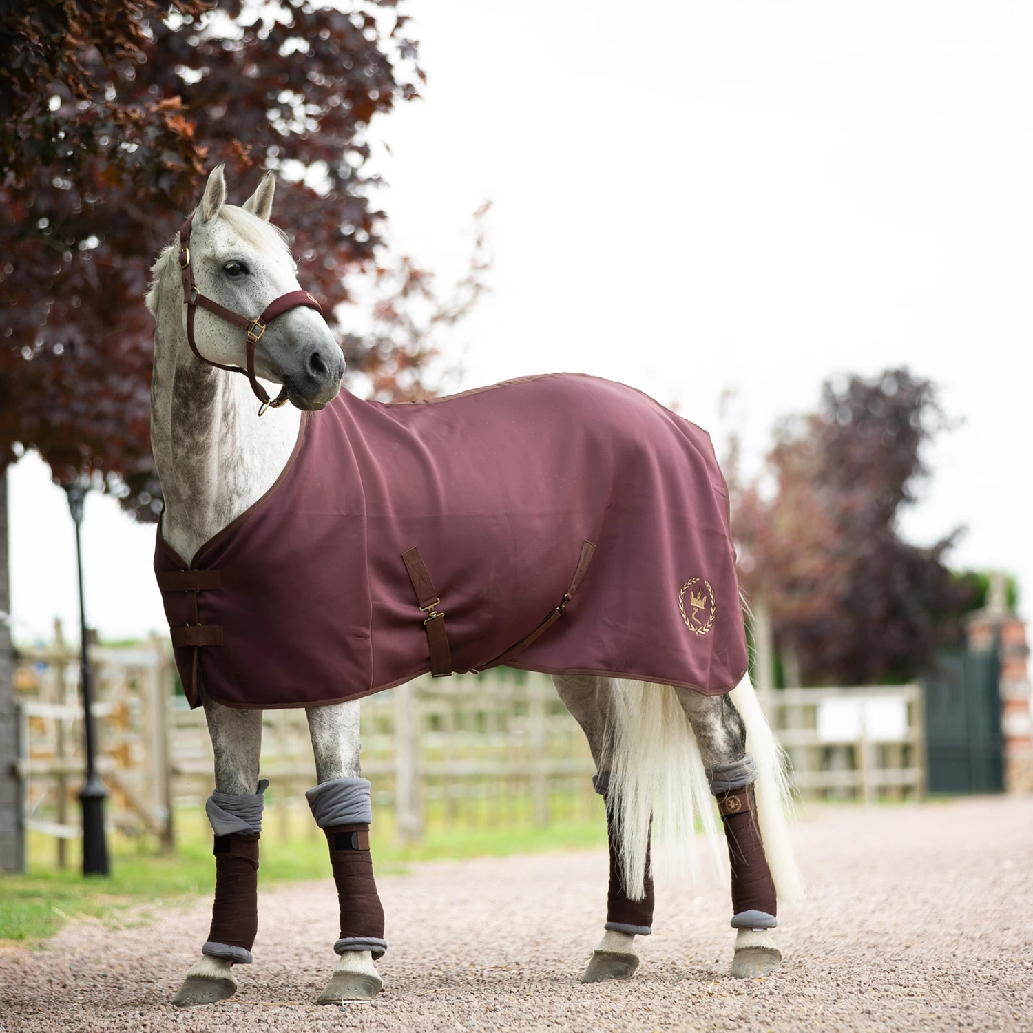 Horze Graz Halter - Image 17