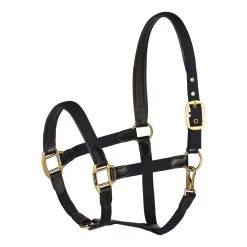 Horze Halter With Leather Details