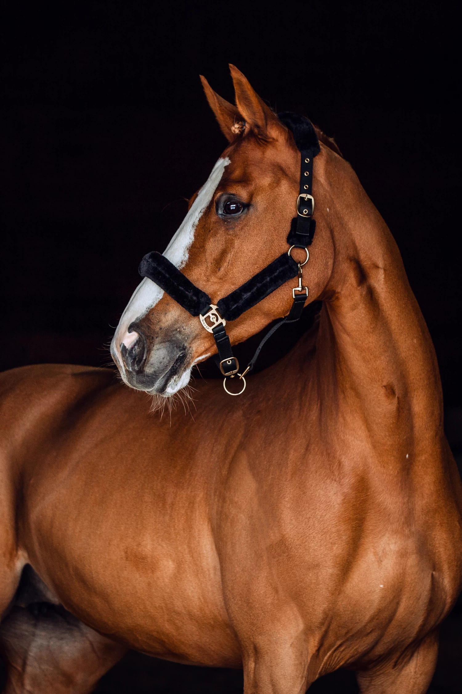 Horze Lincoln Halter With Fur - Image 2