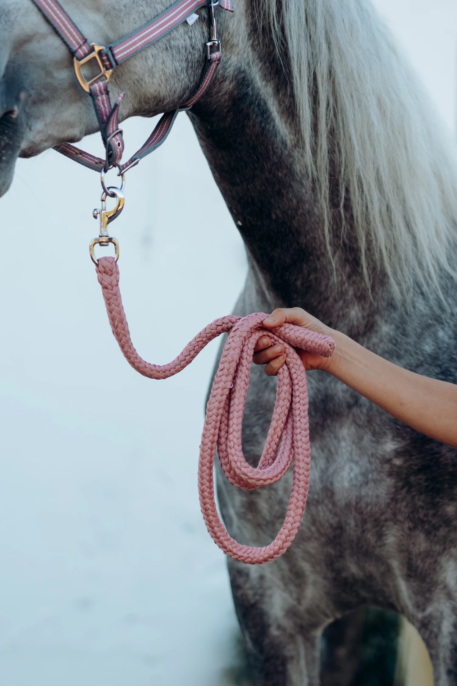 Horze Munich Halter & Lead Set - Image 11