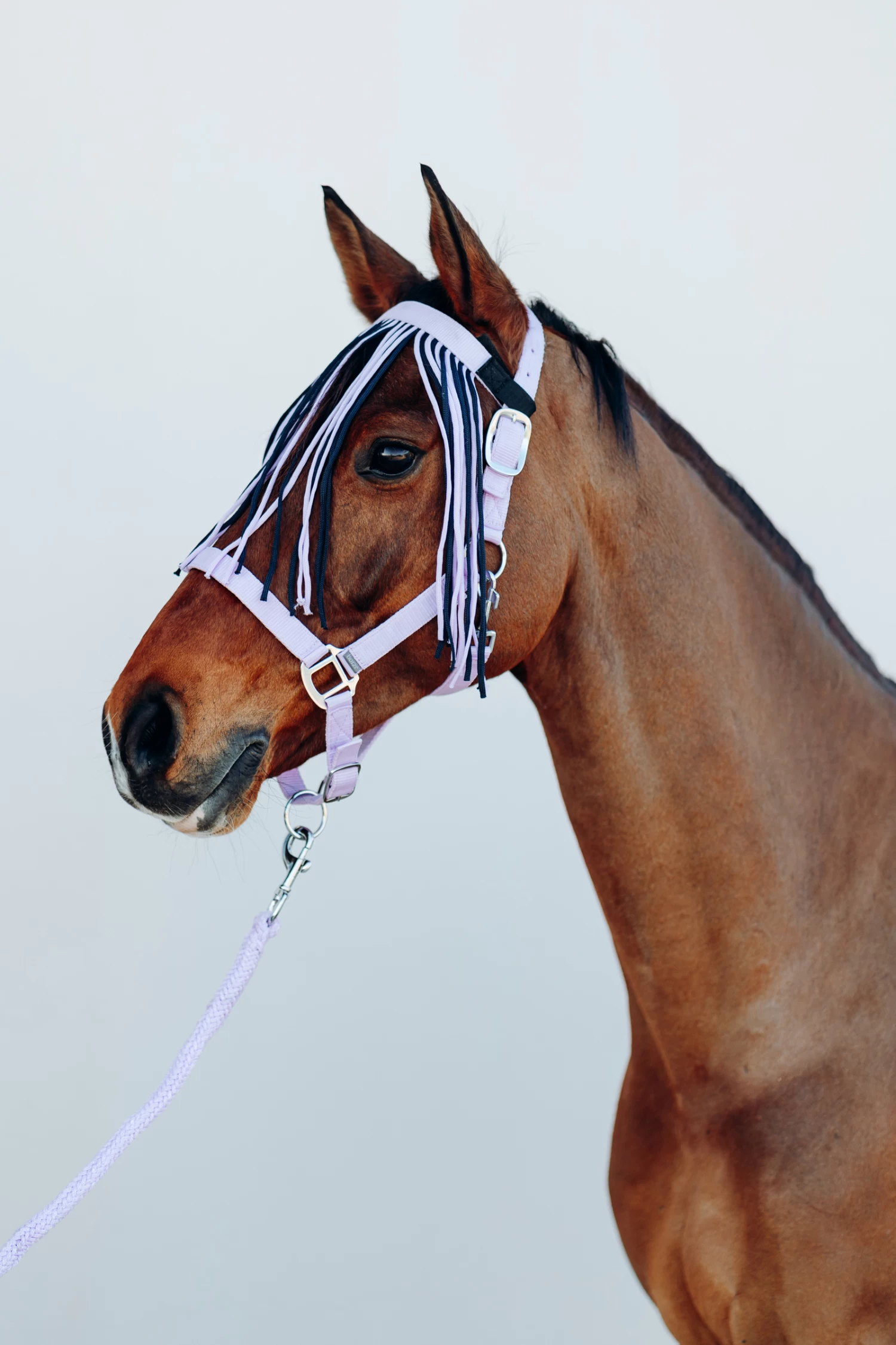 Horze Moreton Halter, Lead & Fly Veil Set - Image 6