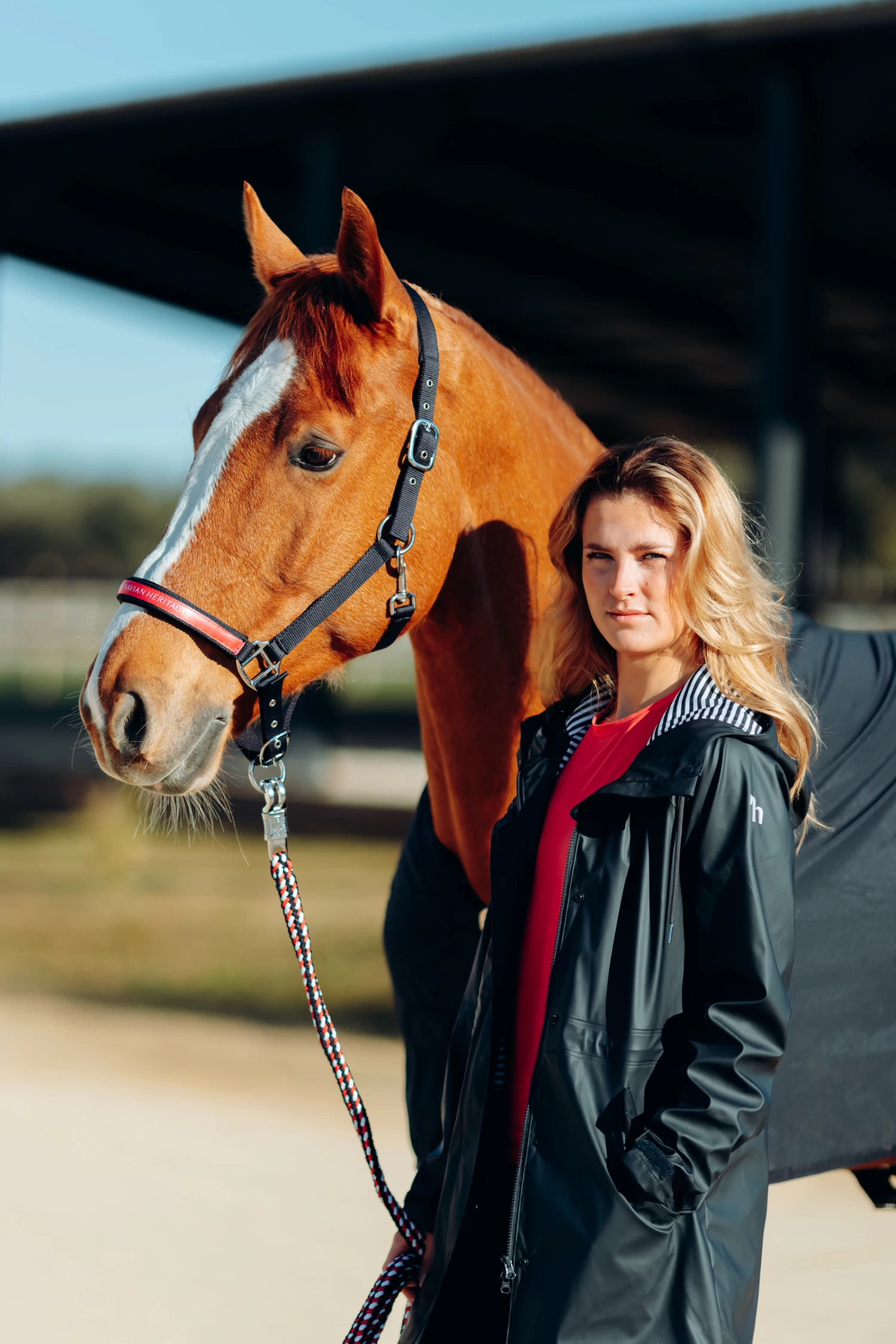 Horze Oslo Halter - Image 6