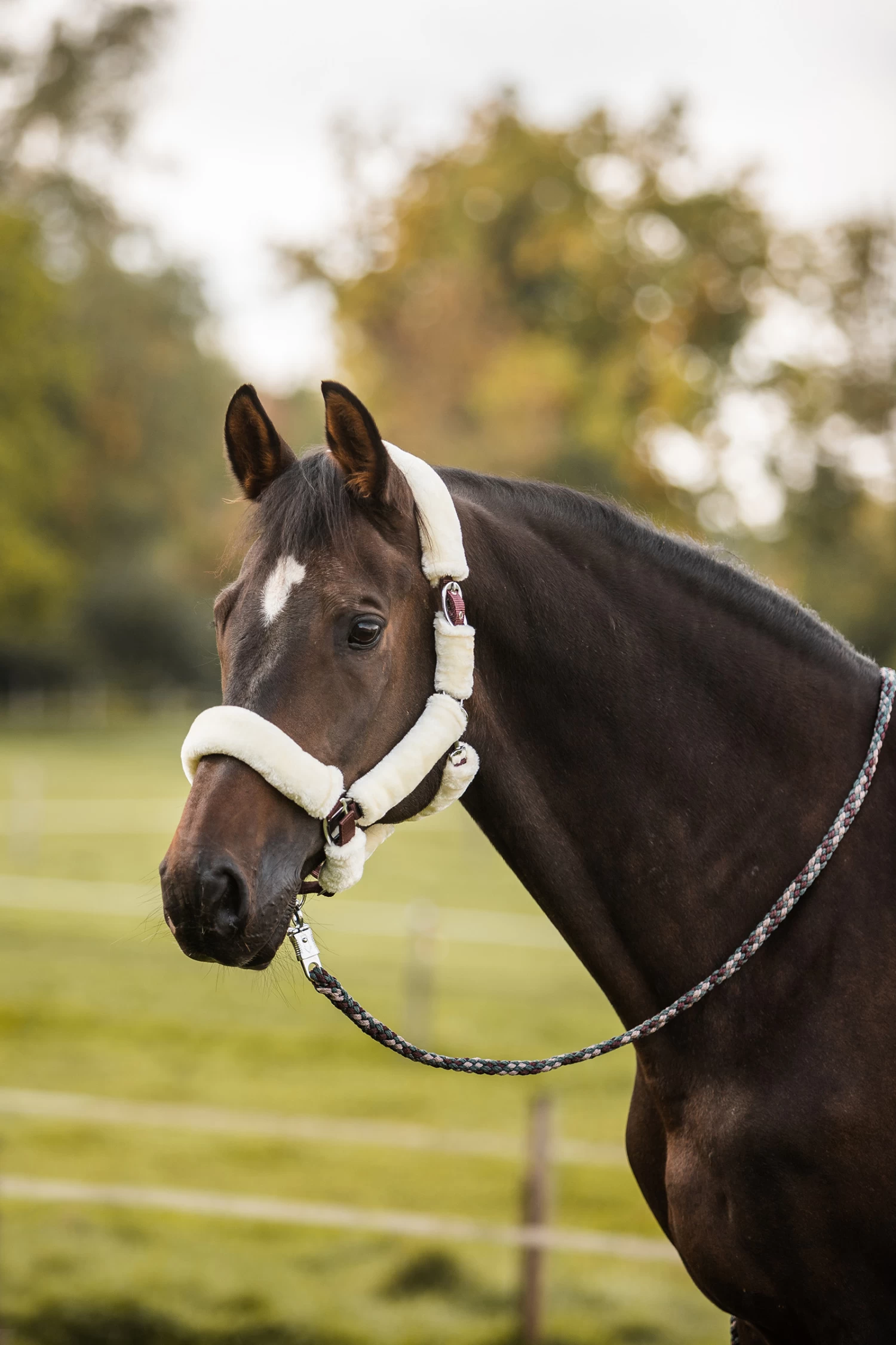 Horze Leighton Teens Collection Faux Fur Halter - Image 4