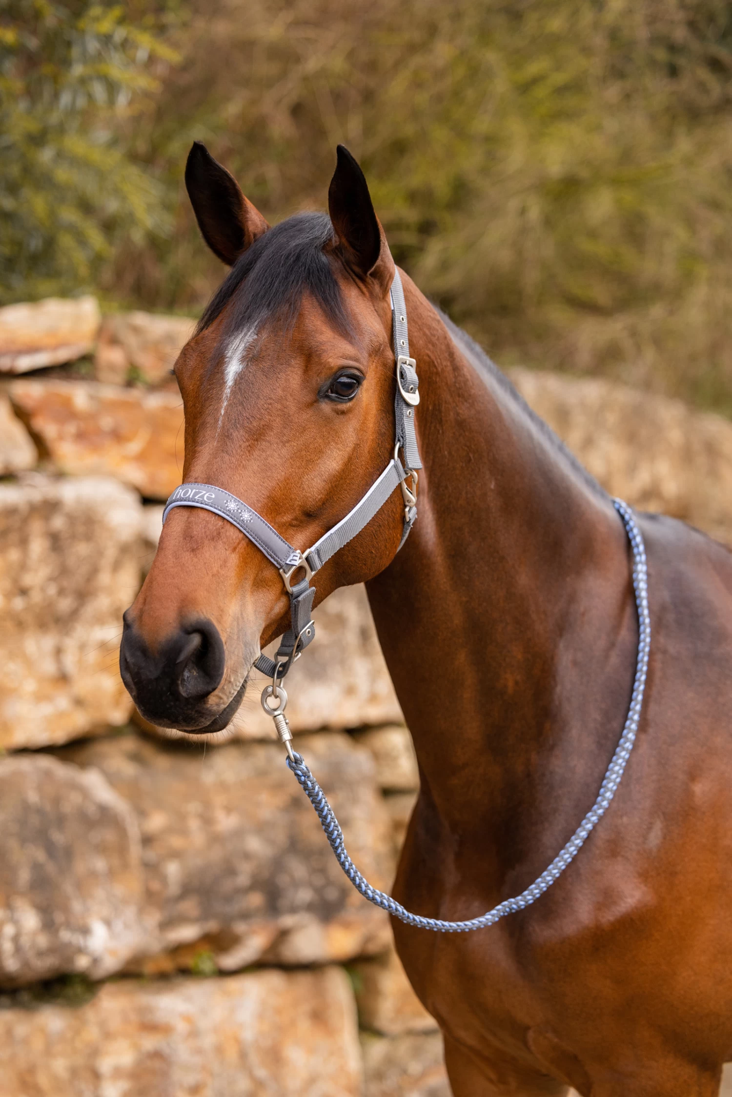 Horze Navajo Halter - Image 5