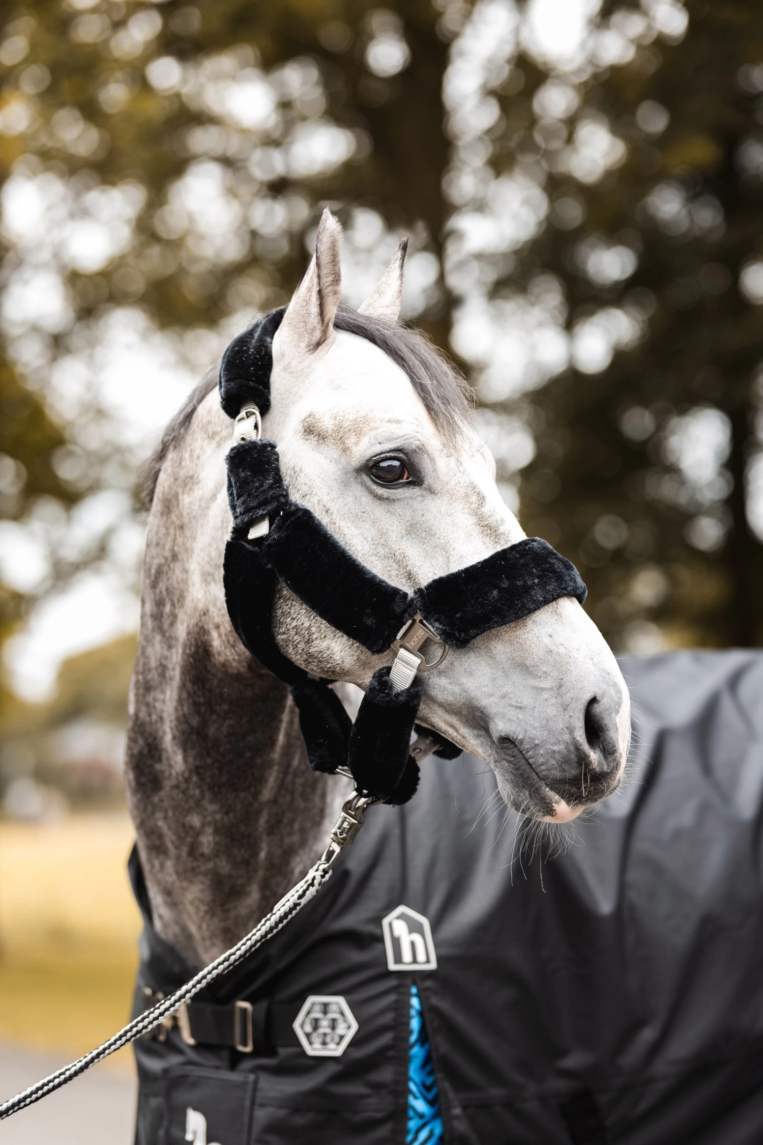 Horze Smoky Twilight Faux Fur Halter - Image 5