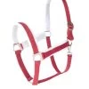 Horze Christmas Halter