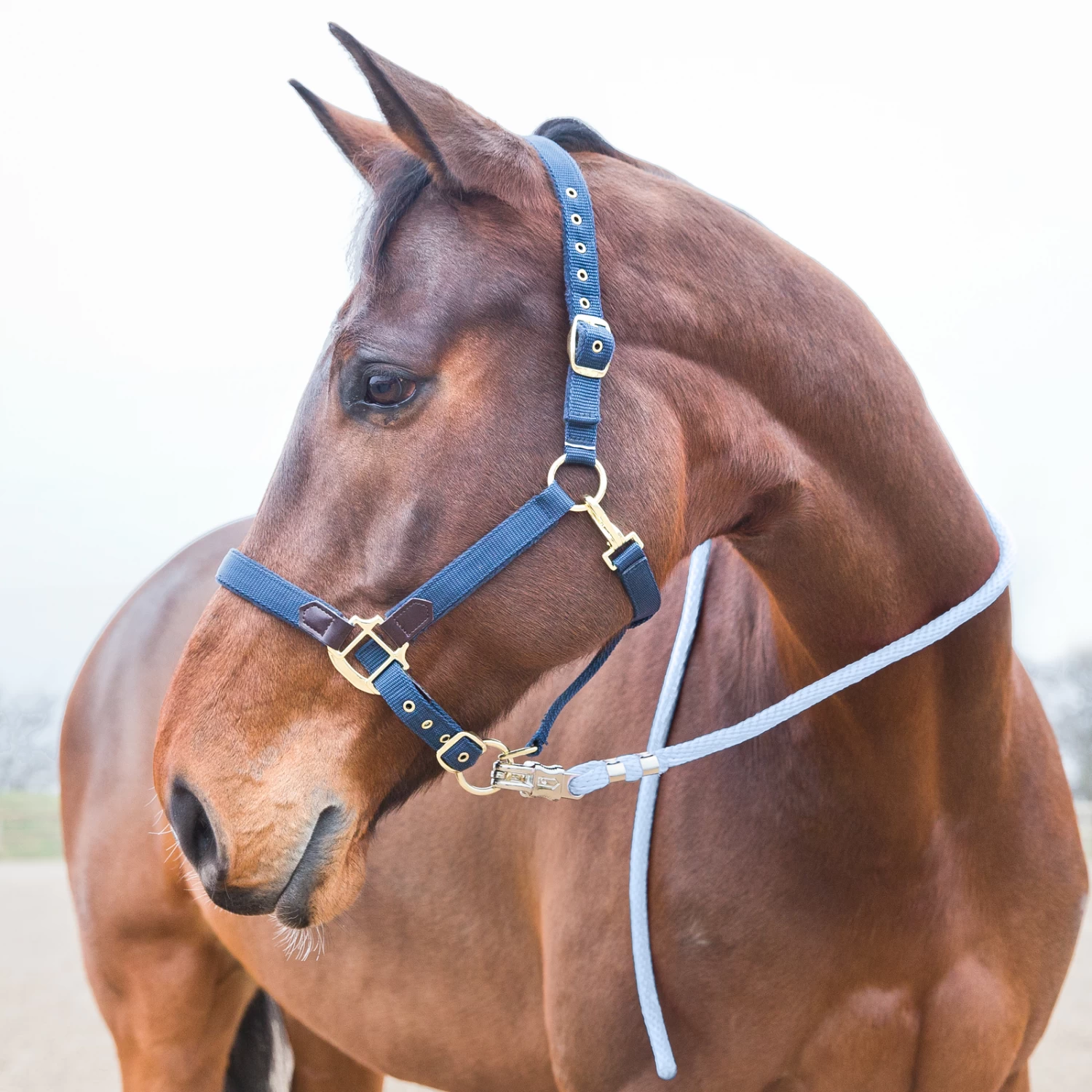 Horze Panic Buckle Lead - Image 7