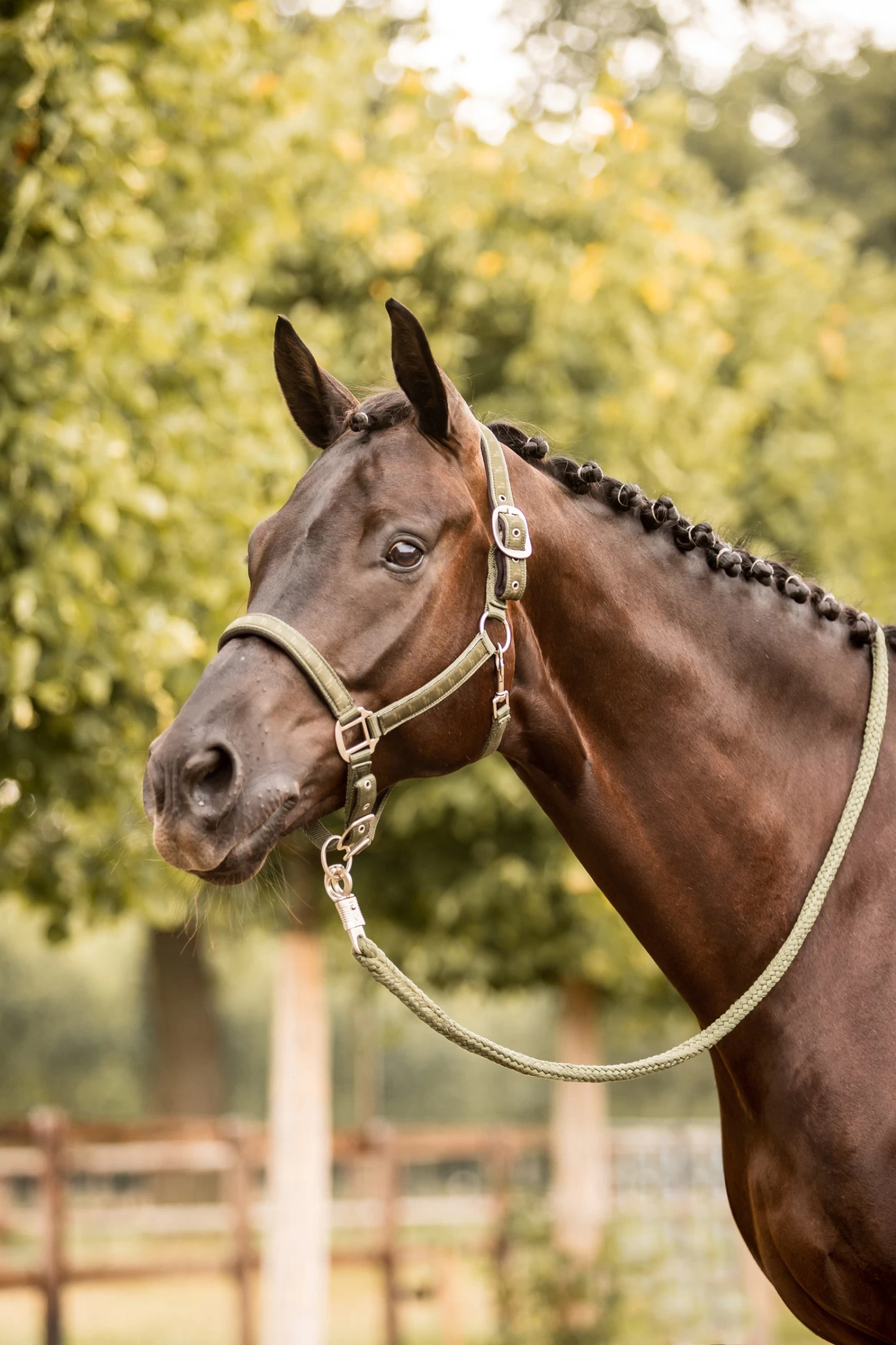 Horze Victoria Lead With Panic Hook - Image 2