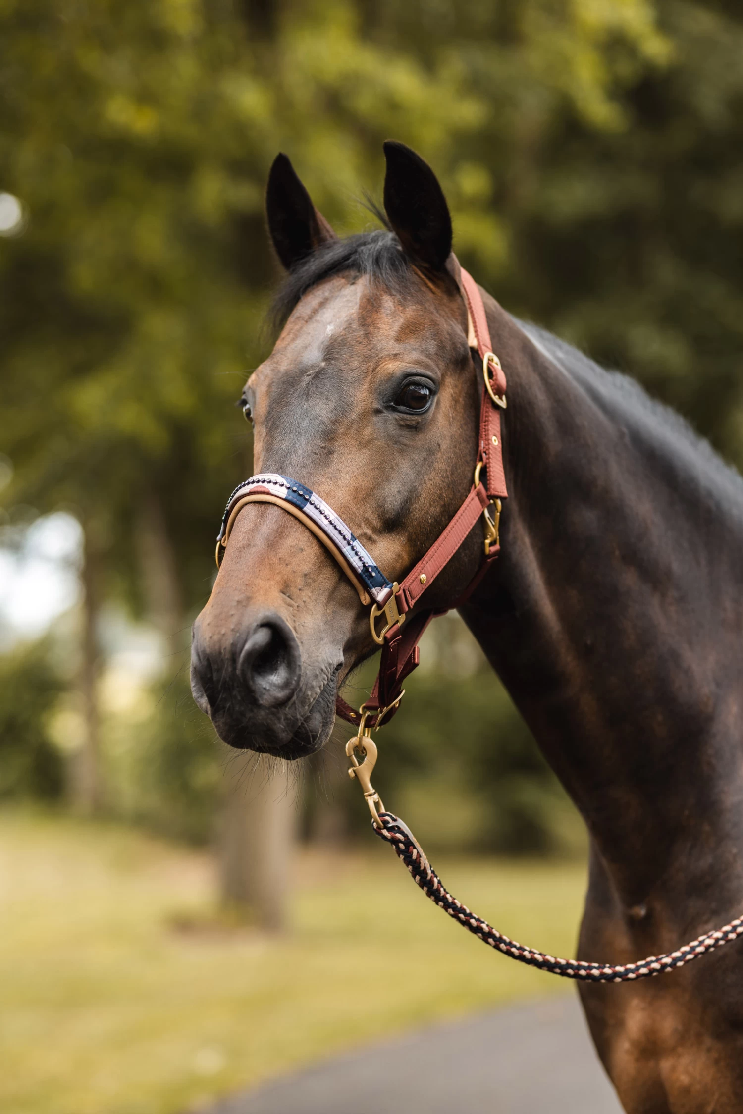 Horze Terrazzo Lead With Snap Hook - Image 3