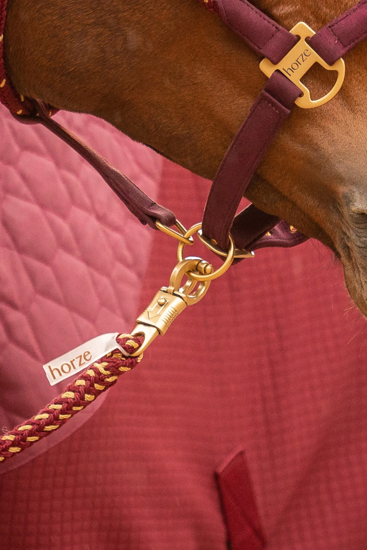 Horze Kenya Lead With Panic Hook - Image 3